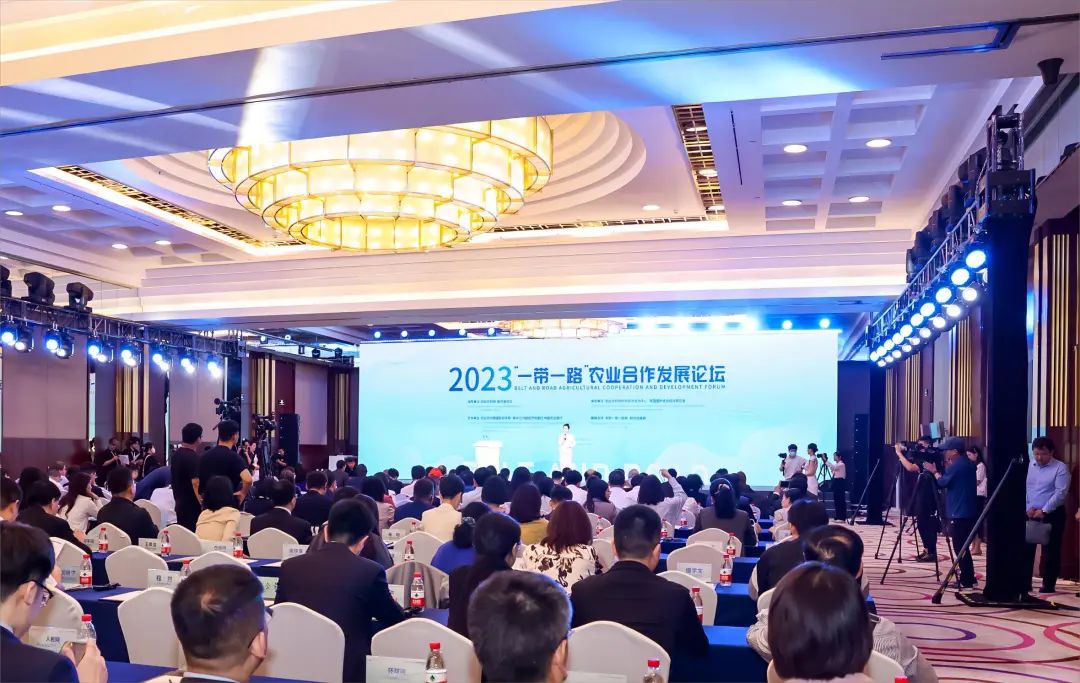 1697640388729124.jpg 640-1.jpg