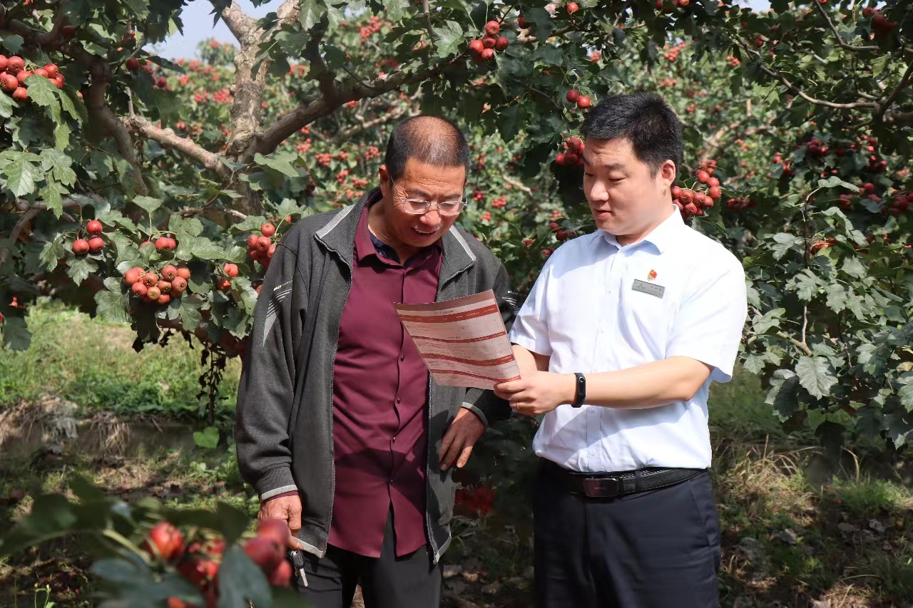 1696657923857124.jpg WechatIMG25436.jpg