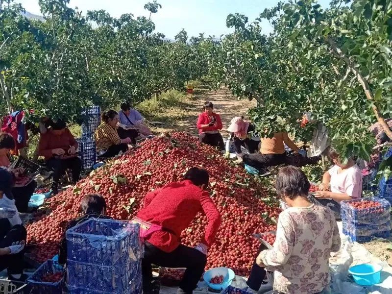 1696657936820309.jpg WechatIMG25437.jpg