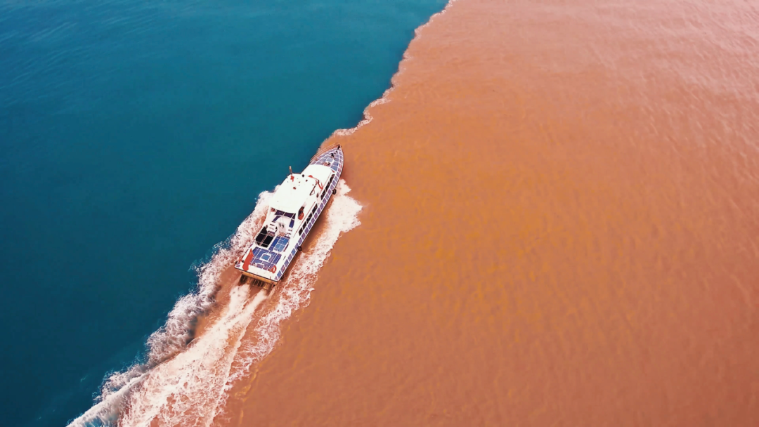 1692100078448392.png 640.png