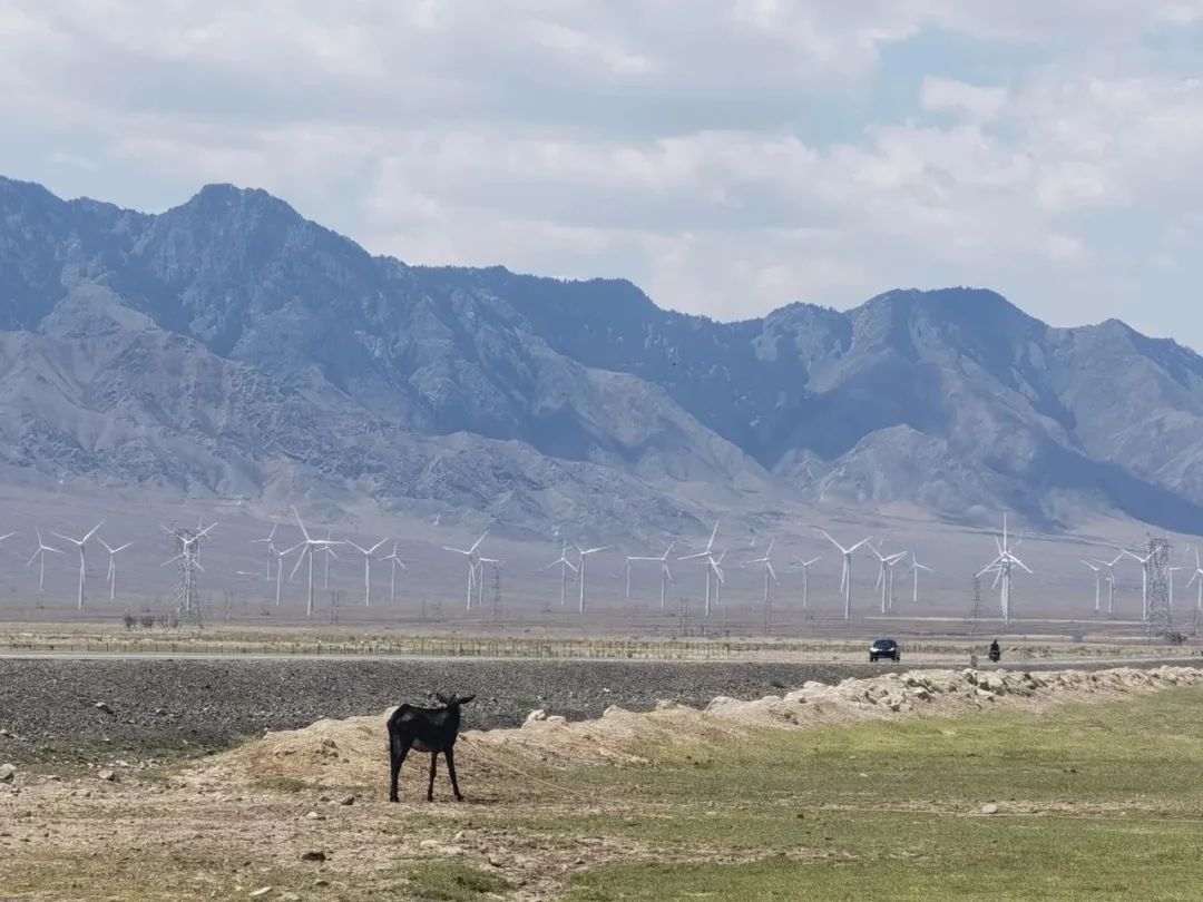 1692100128342334.jpg 640-1.jpg