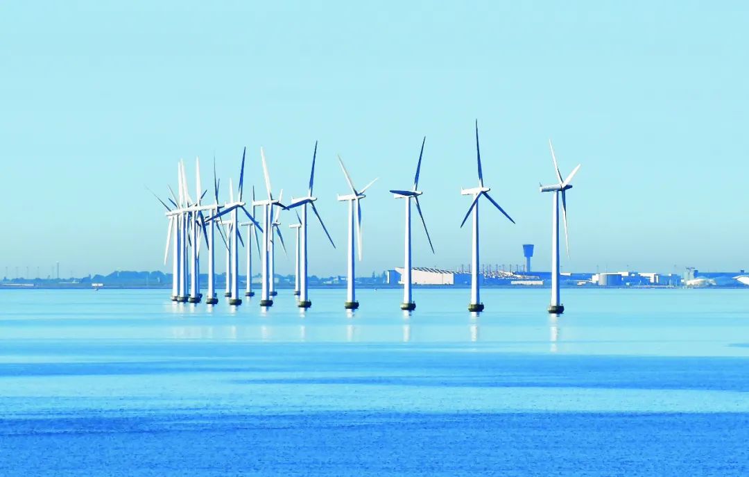 1690974734491079.jpg 640.jpg