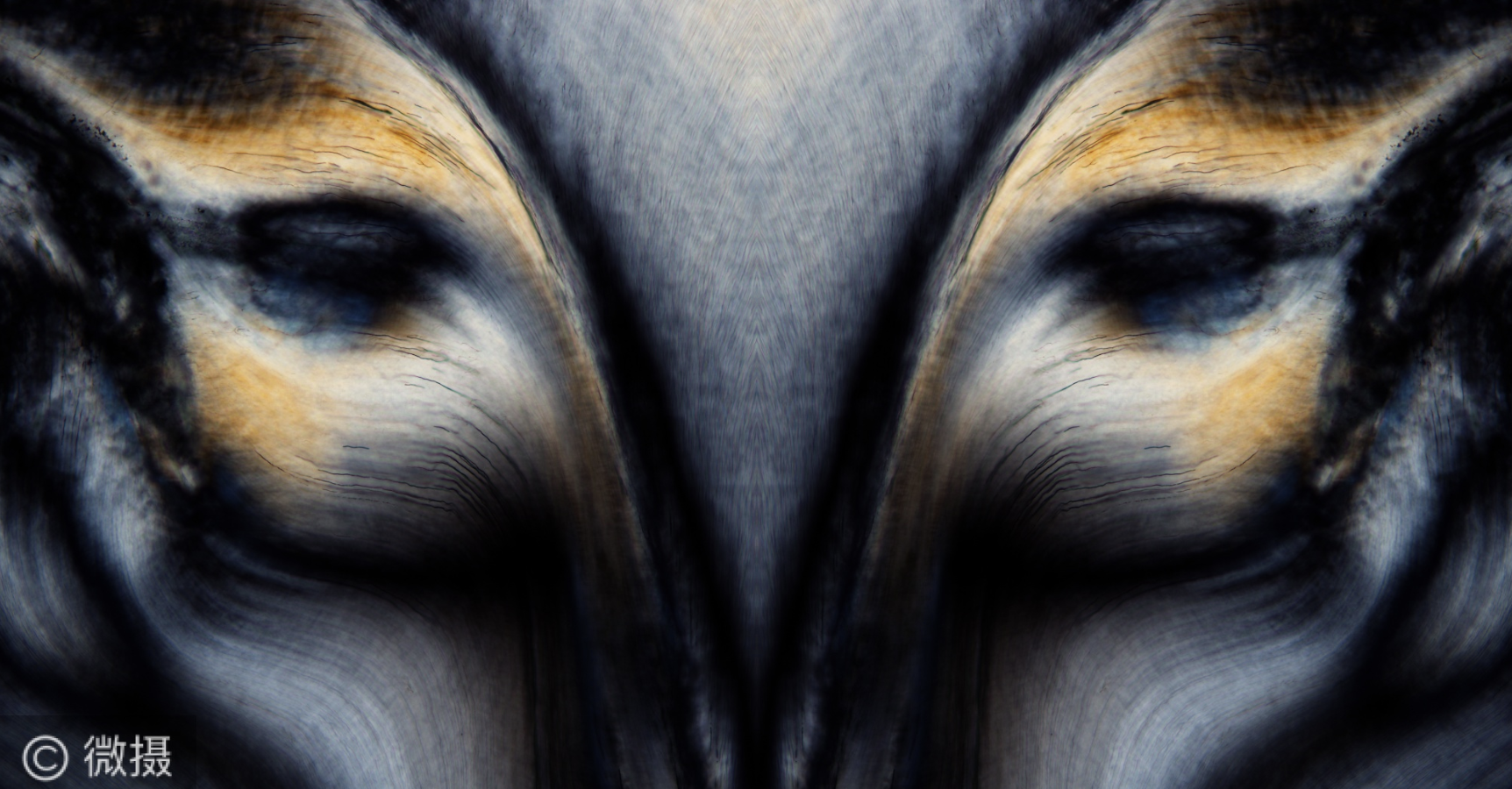 ����2023-01-22 ����9.08.02.png