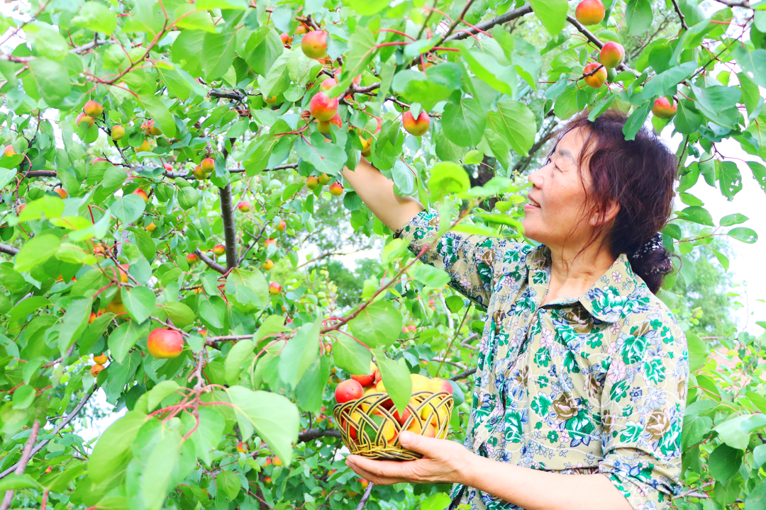 1689334485192059.png 640-2.png