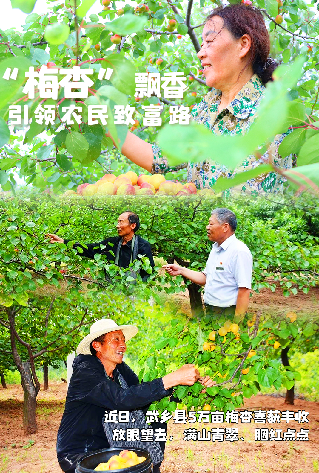 1689334450473068.png 640-1.png