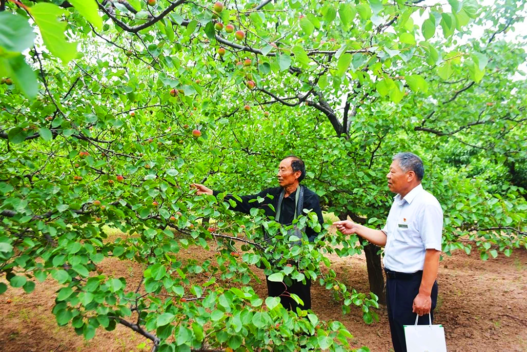 1689334578191601.png 640-4.png