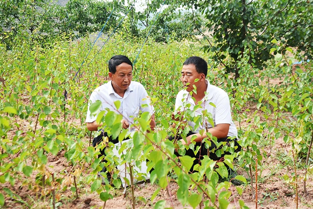 1689334647451615.png 640-5.png