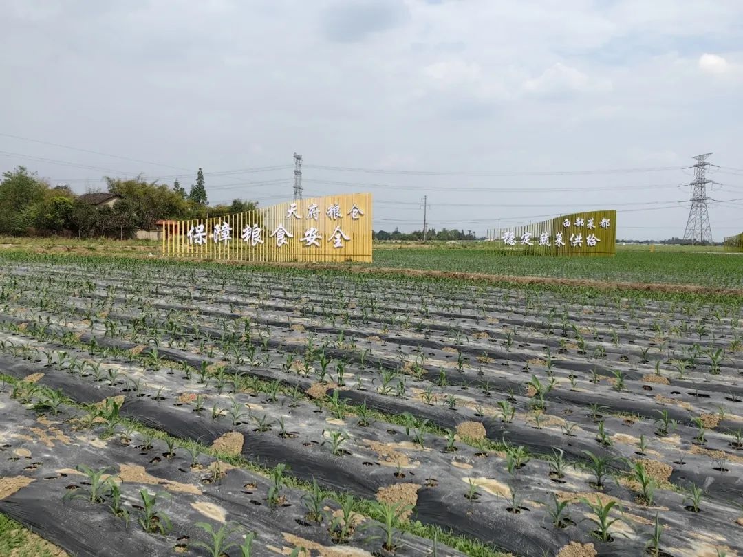 1688533148664179.jpg 640-2.jpg