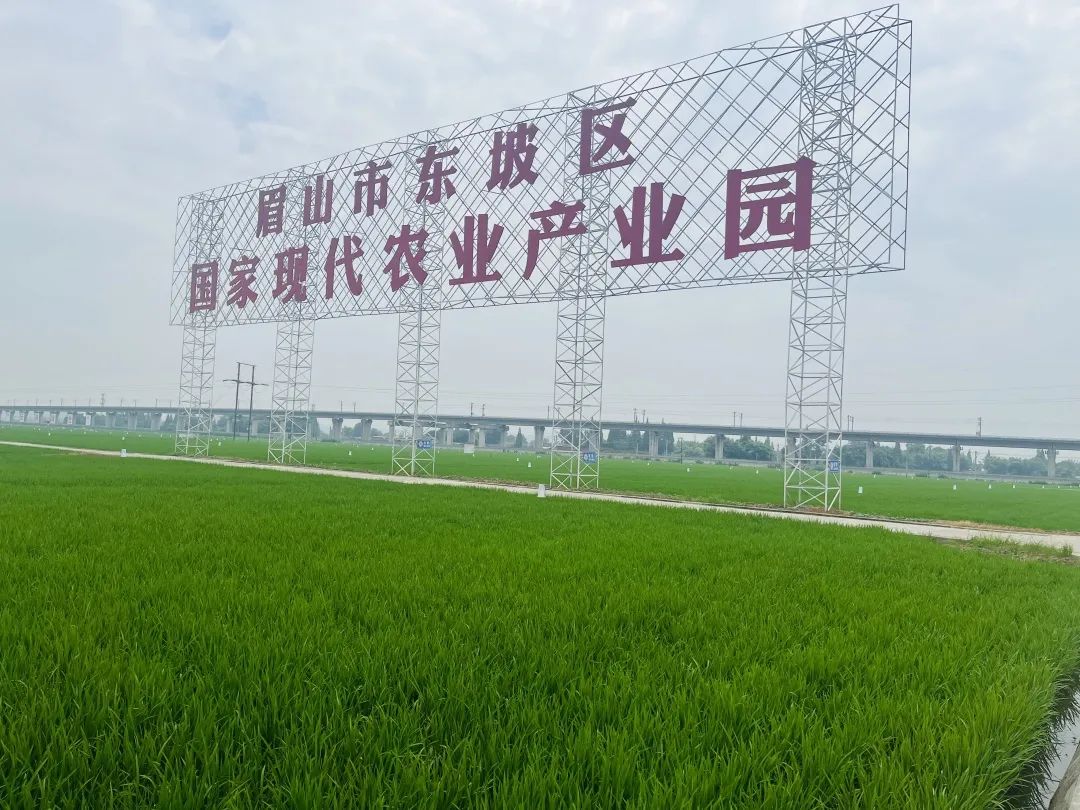 1688533286646182.jpg 640-3.jpg