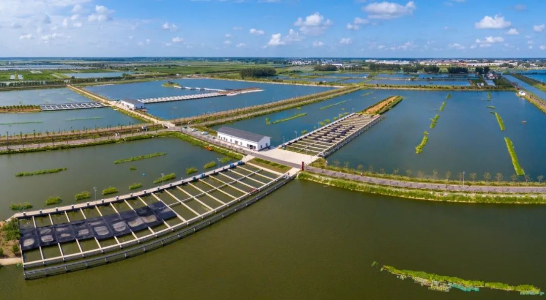 1688462403363980.jpg 640-3.jpg