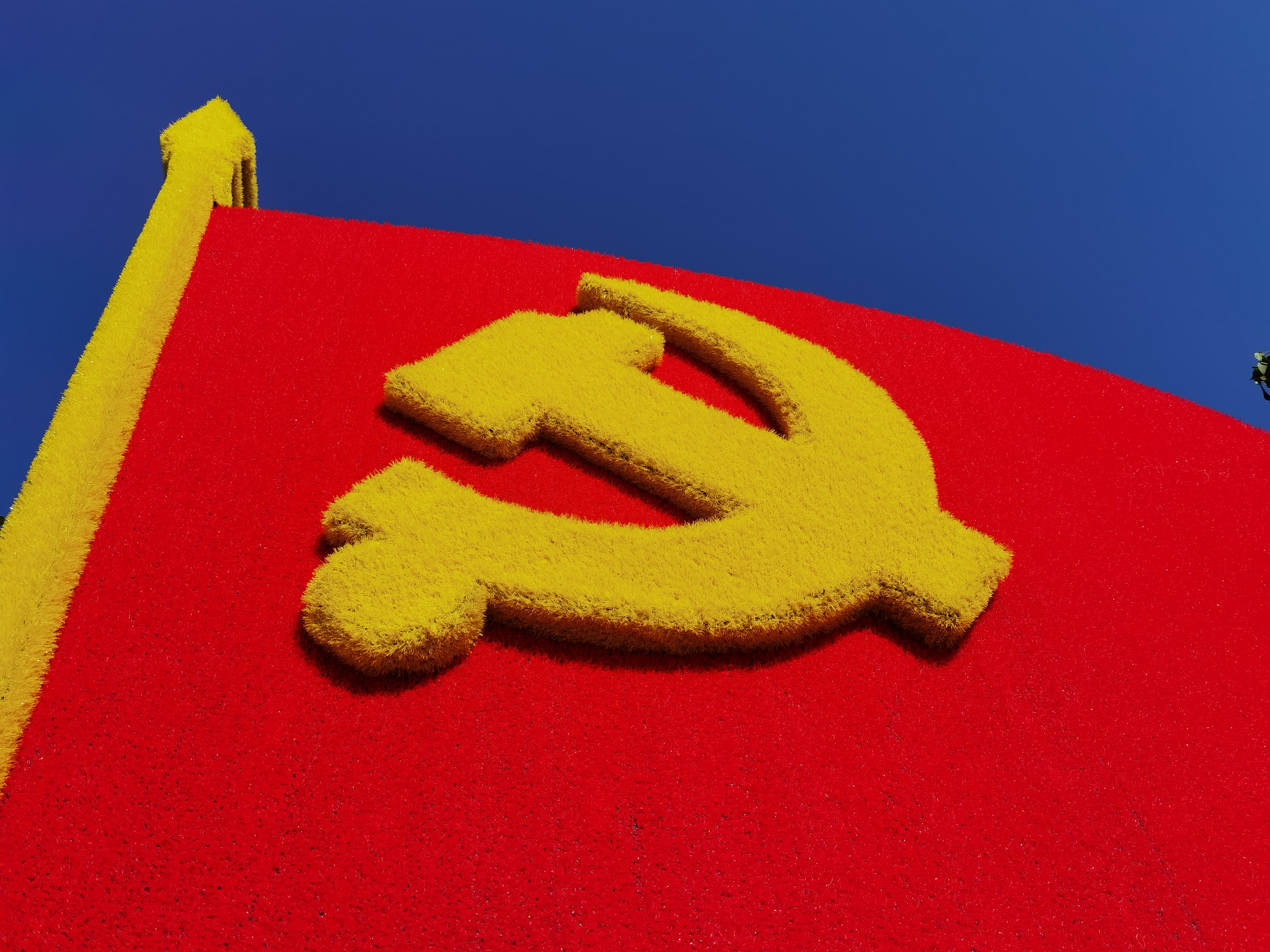 1687259691619228.jpg IMG_20210907_074702.jpg