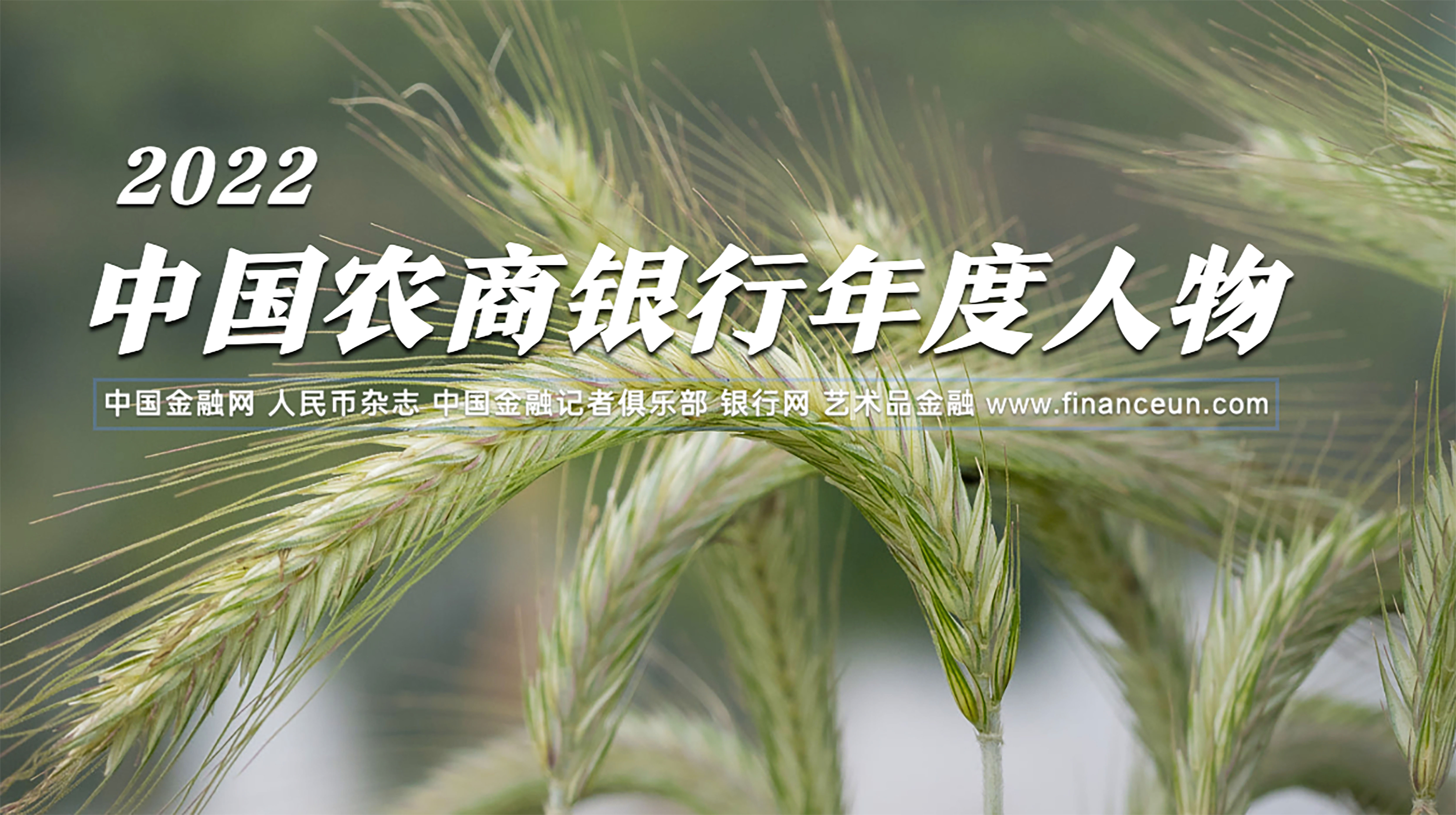 1676519501419131.jpg 2.jpg