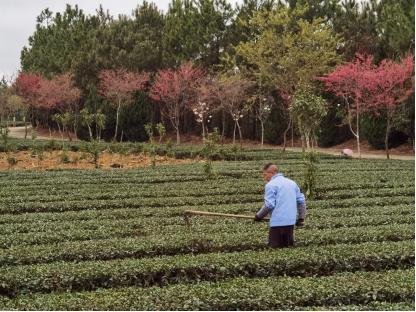 ��ҵ�������������ڻ�ˮ ��ȡ�ϣ����Ұ��