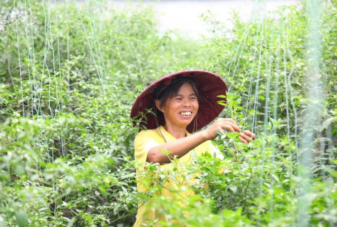 ����ũ�������� ������������Եط���������������