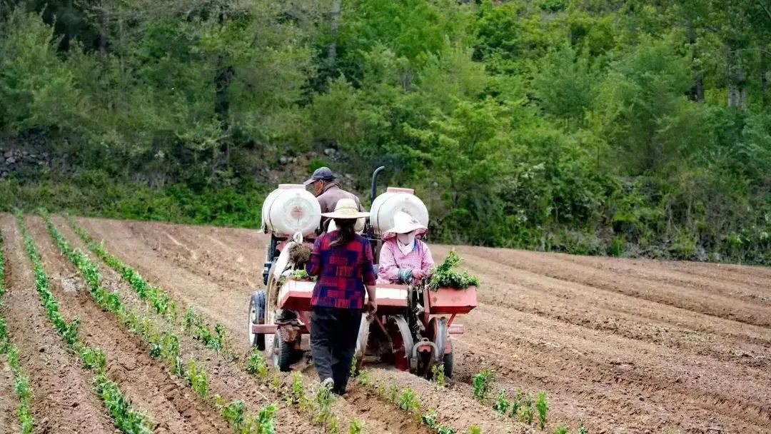 1648004531802137.jpg 1.jpg