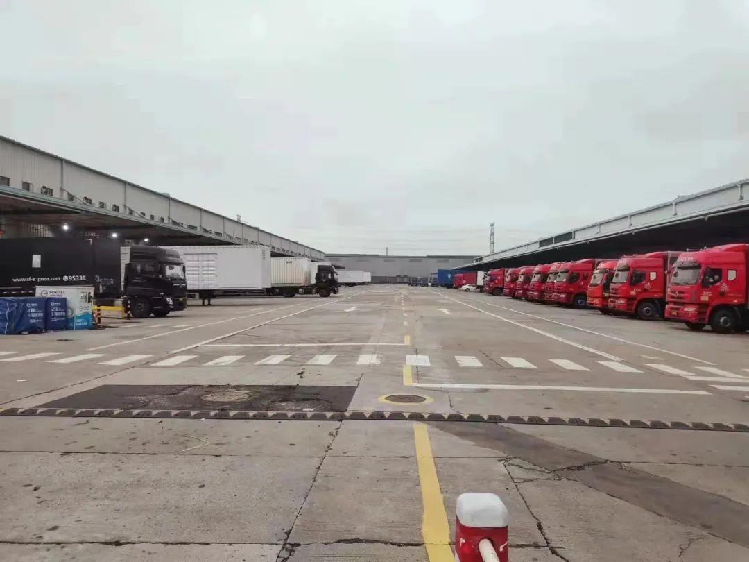 1650250290530842.jpg 3.jpg