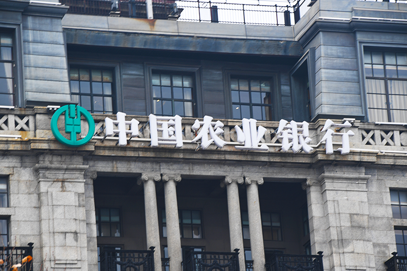 1650609370136392.jpg 2018年1月6日上海1-64.jpg