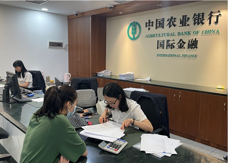 1654508026763751.png 1.png