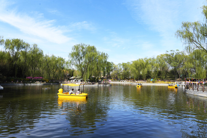 ��2021��4��3�����ο���350vip�ρ������Ϲ�����ֲ����԰�������»������ �γ� ��