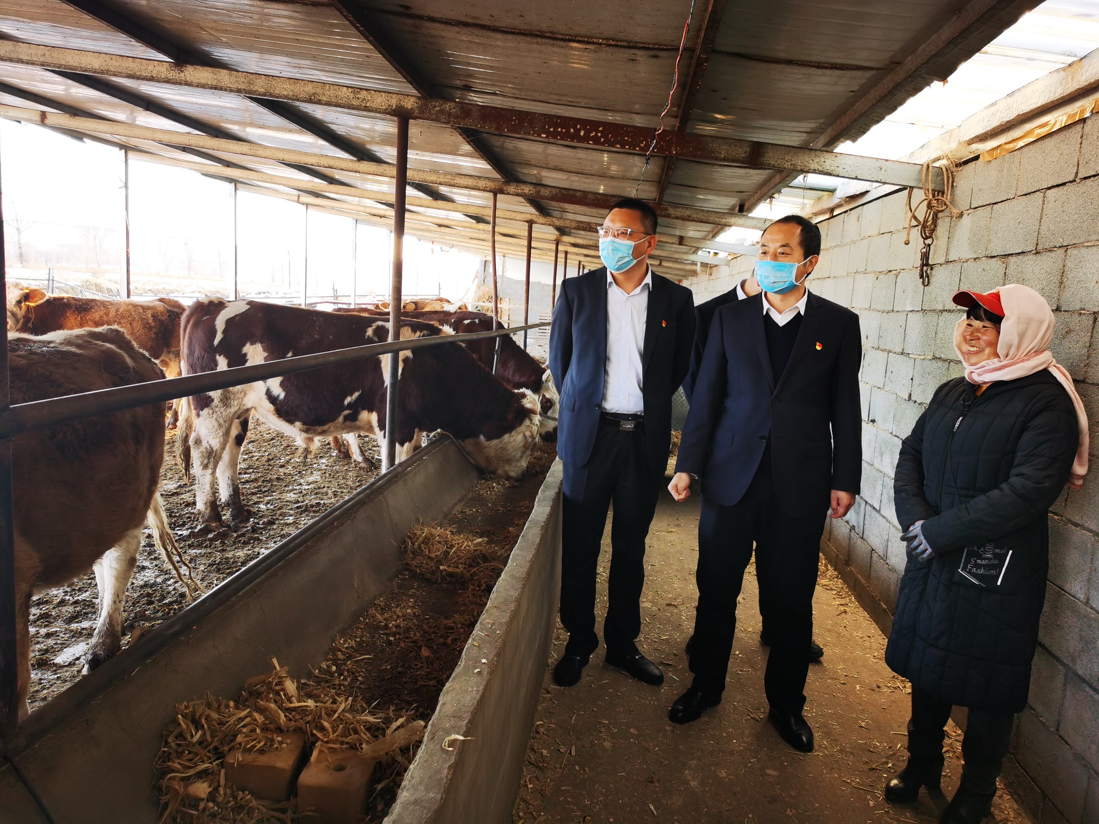 1637645585698155.jpg 1.jpg