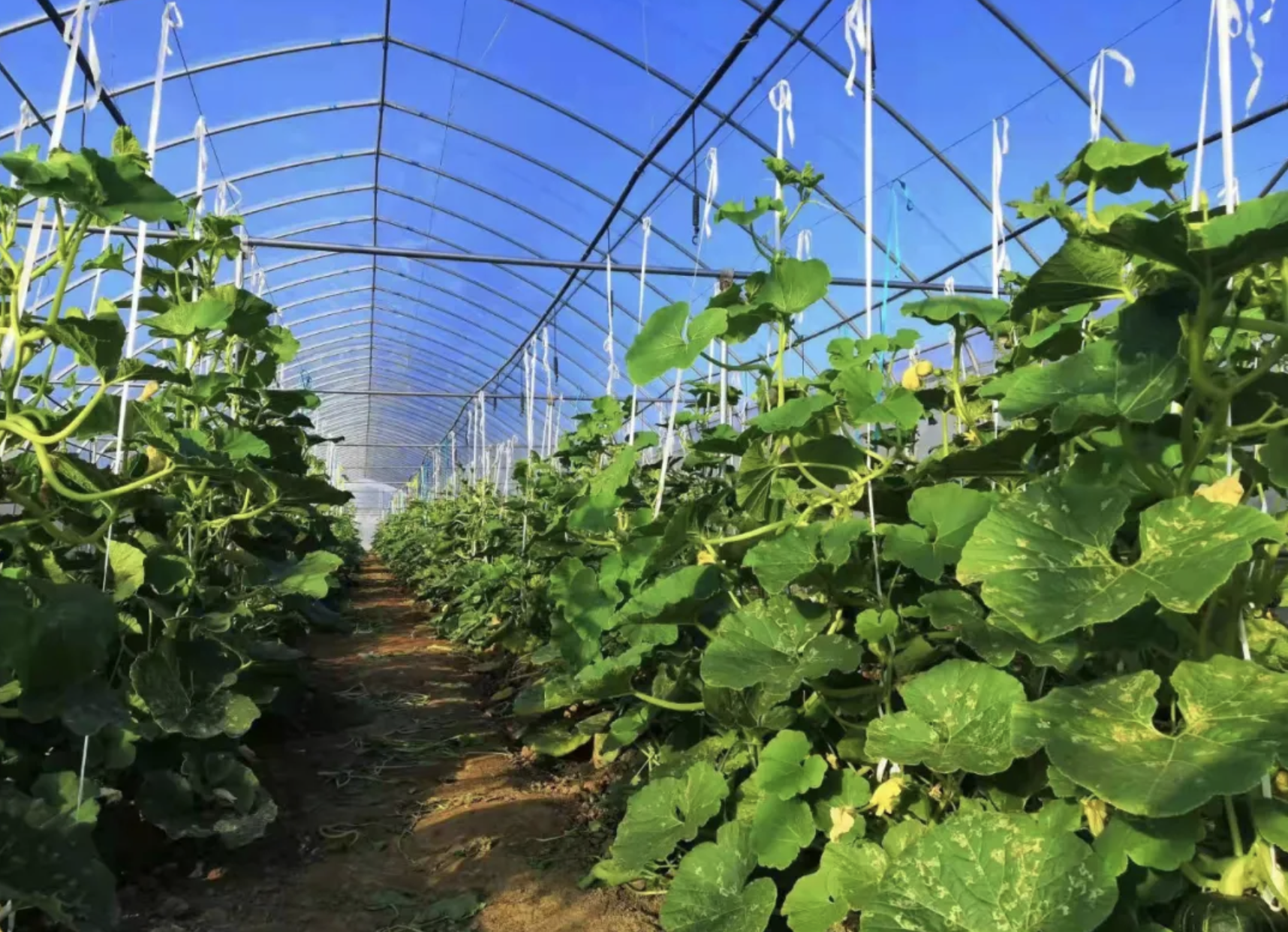 ����2021-12-22 ����4.18.14.png