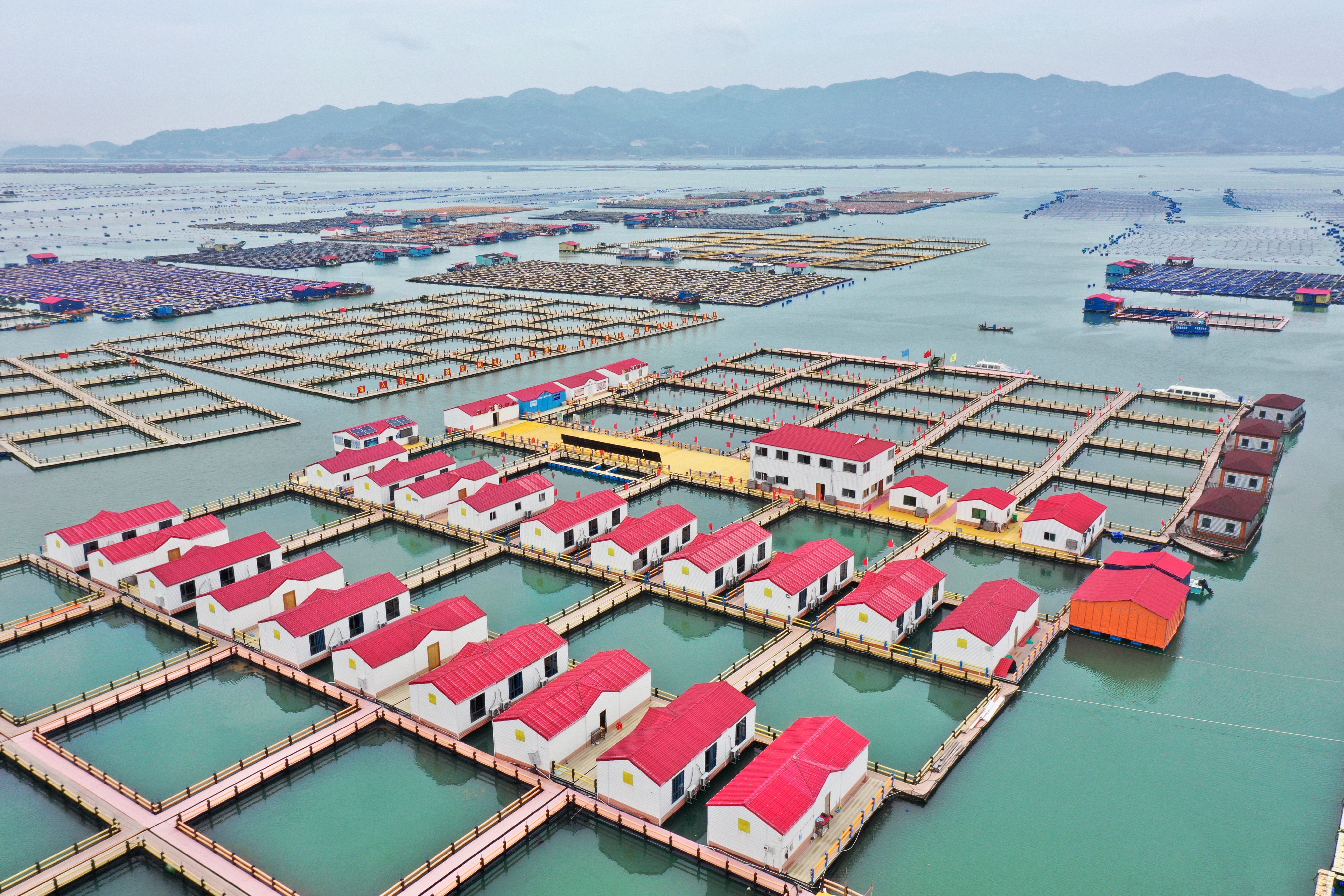 1640776029762389.jpg XxjpsgC007132_20210704_PEPFN0A001.JPG