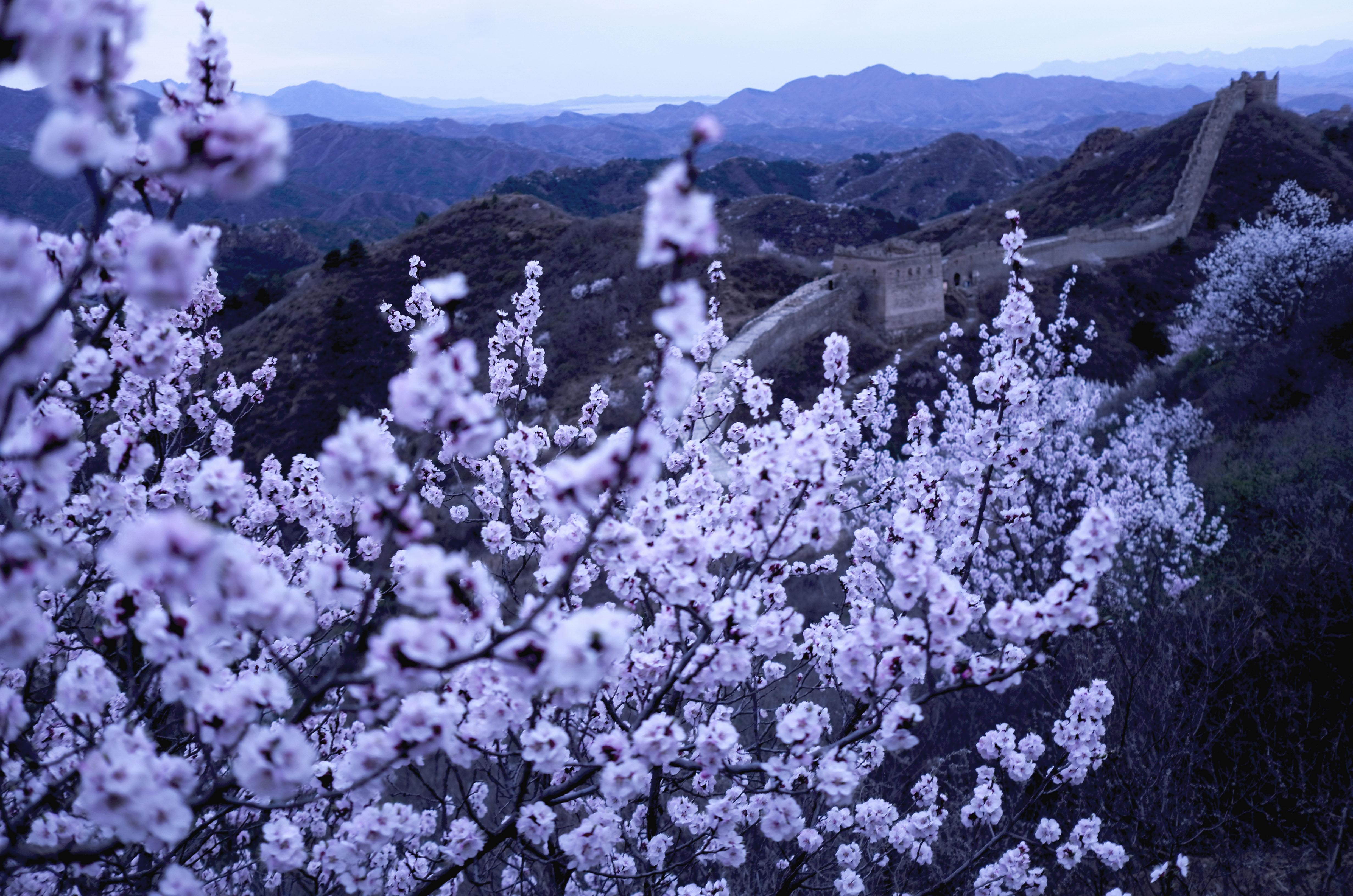 1617795811520862.jpg 1.jpg