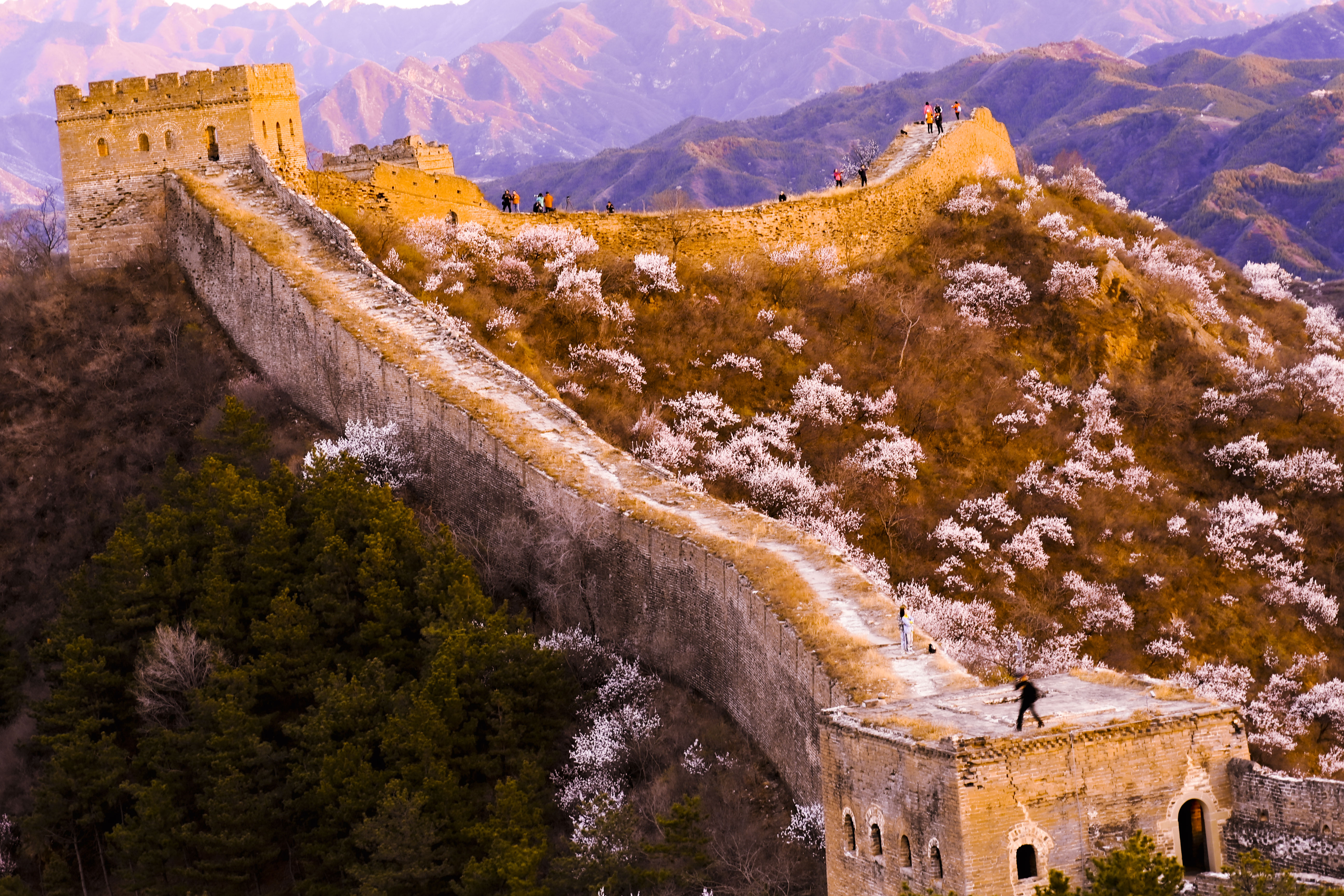 1617668014459639.jpg 4.jpg