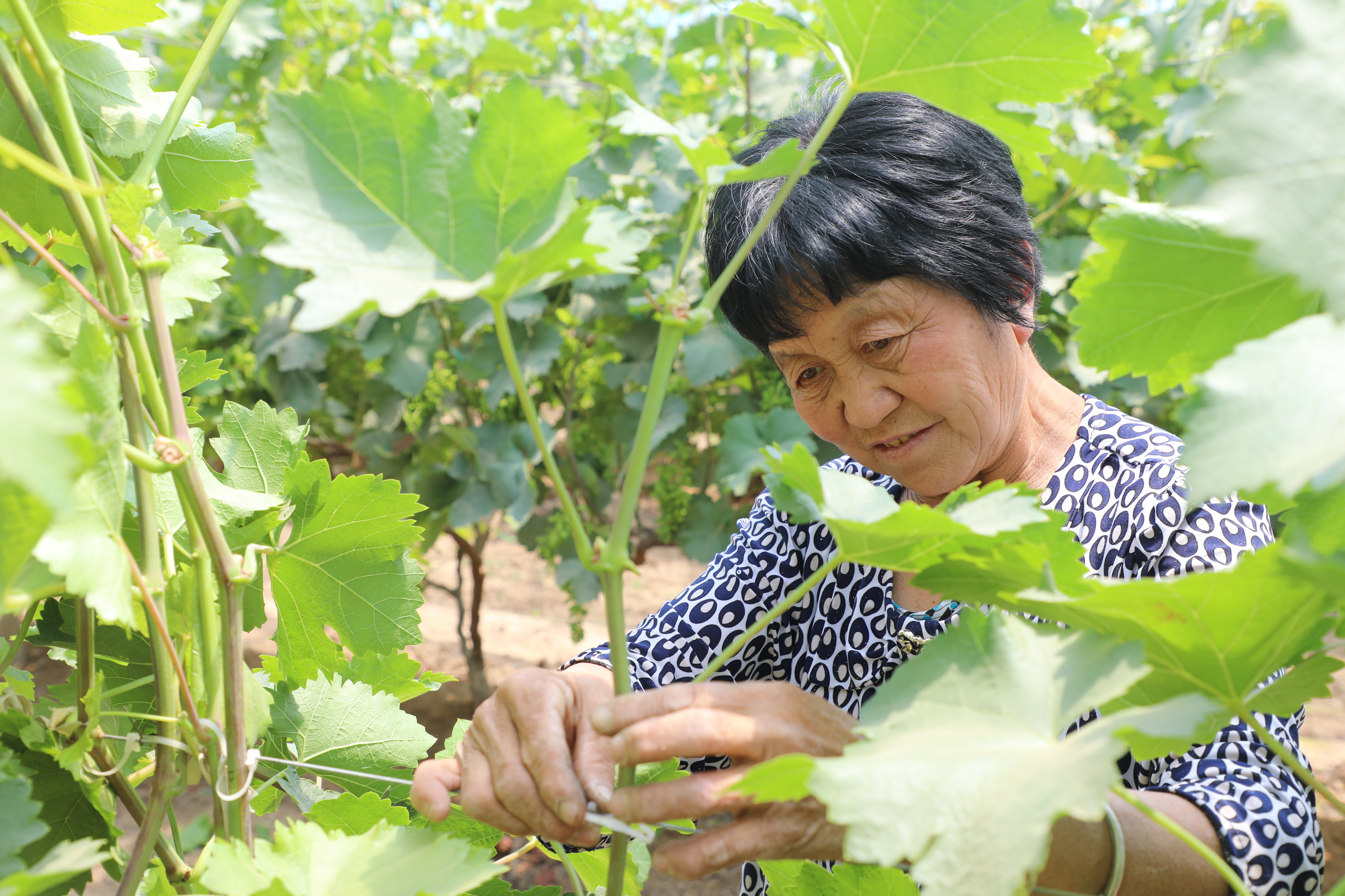 1622706278575526.jpg XxjpsgC007552_20210529_PEPFN0A001.JPG