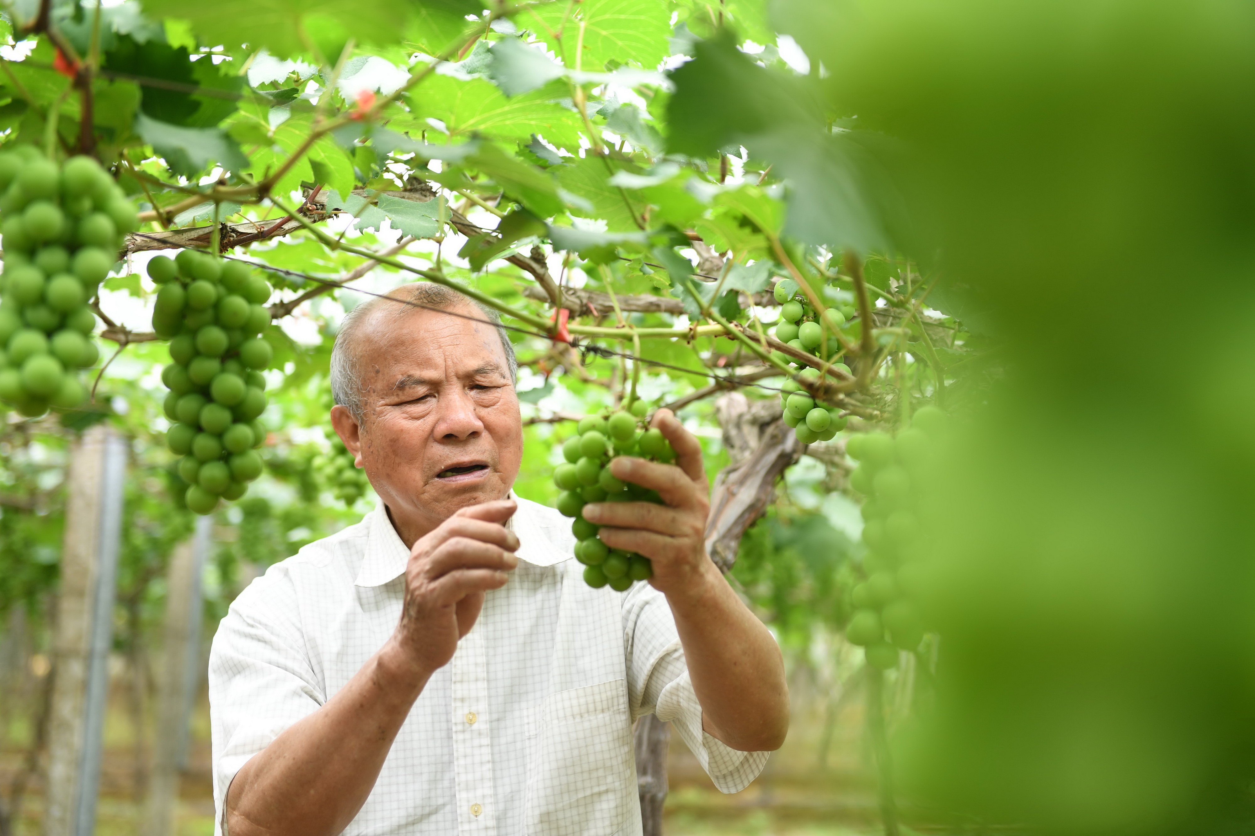 1622706535446705.jpg XxjpsgC007357_20210529_PEPFN0A001.JPG