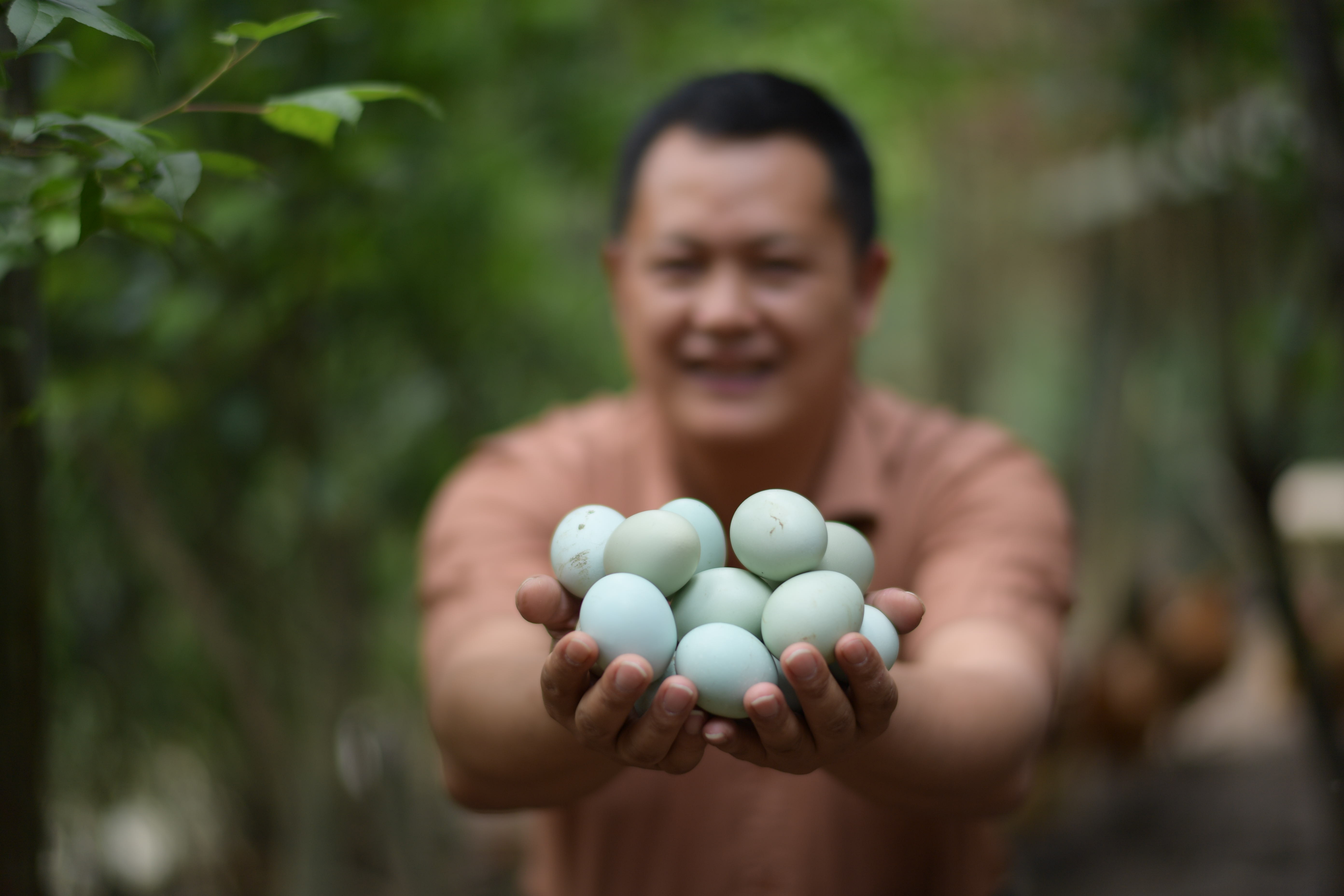 1622718709892040.jpg XxjpsgC007731_20210422_PEPFN0A001.JPG