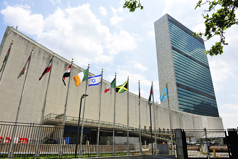 1584065415856236.jpg image_1537919083.745664.jpg