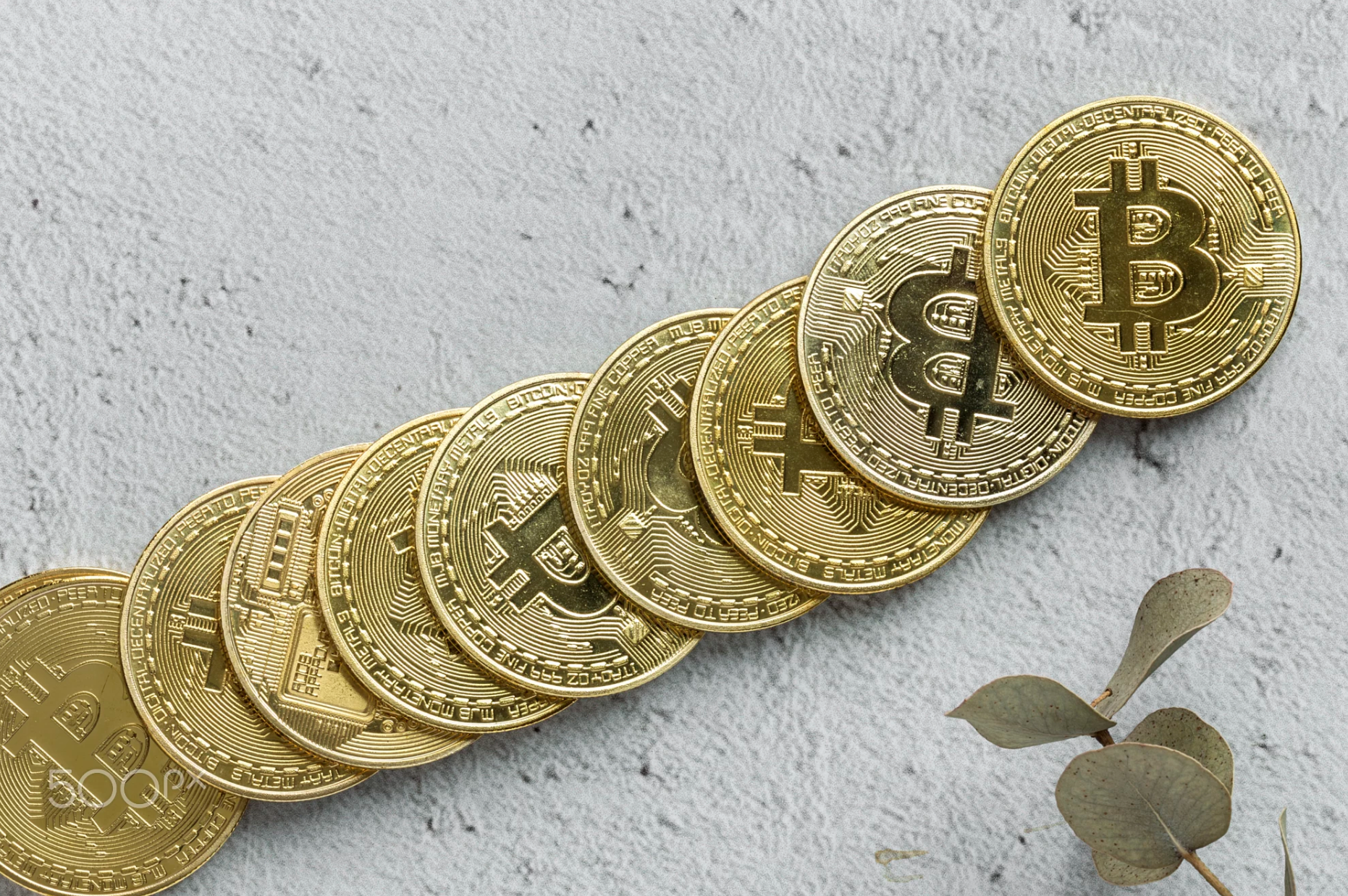 ��Ļ���� 2019-01-28 08.11.51.png