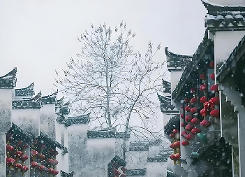 1755227137195271.png ͼƬ1.png