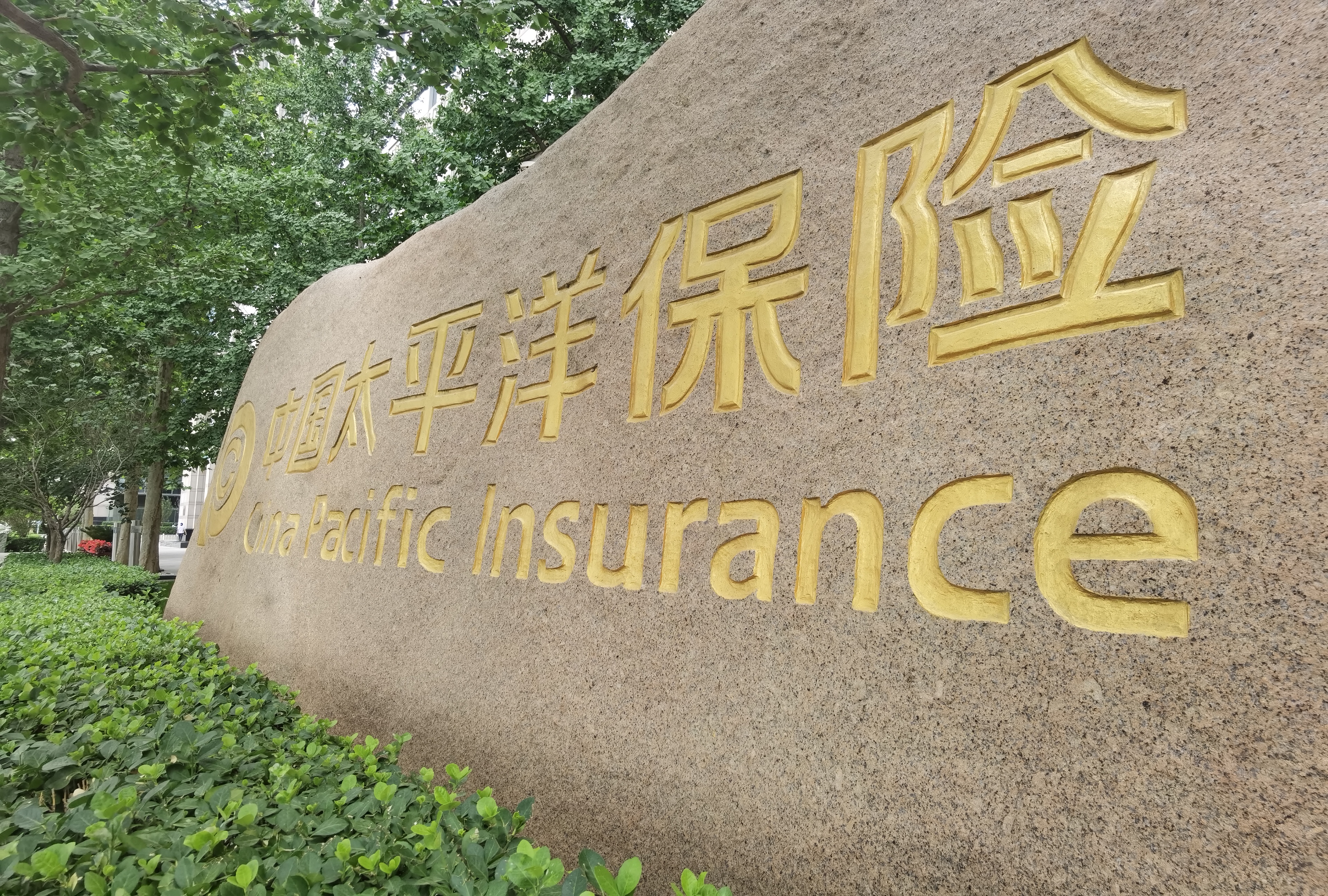 1736161069688896.jpg IMG_20230608_135317.jpg