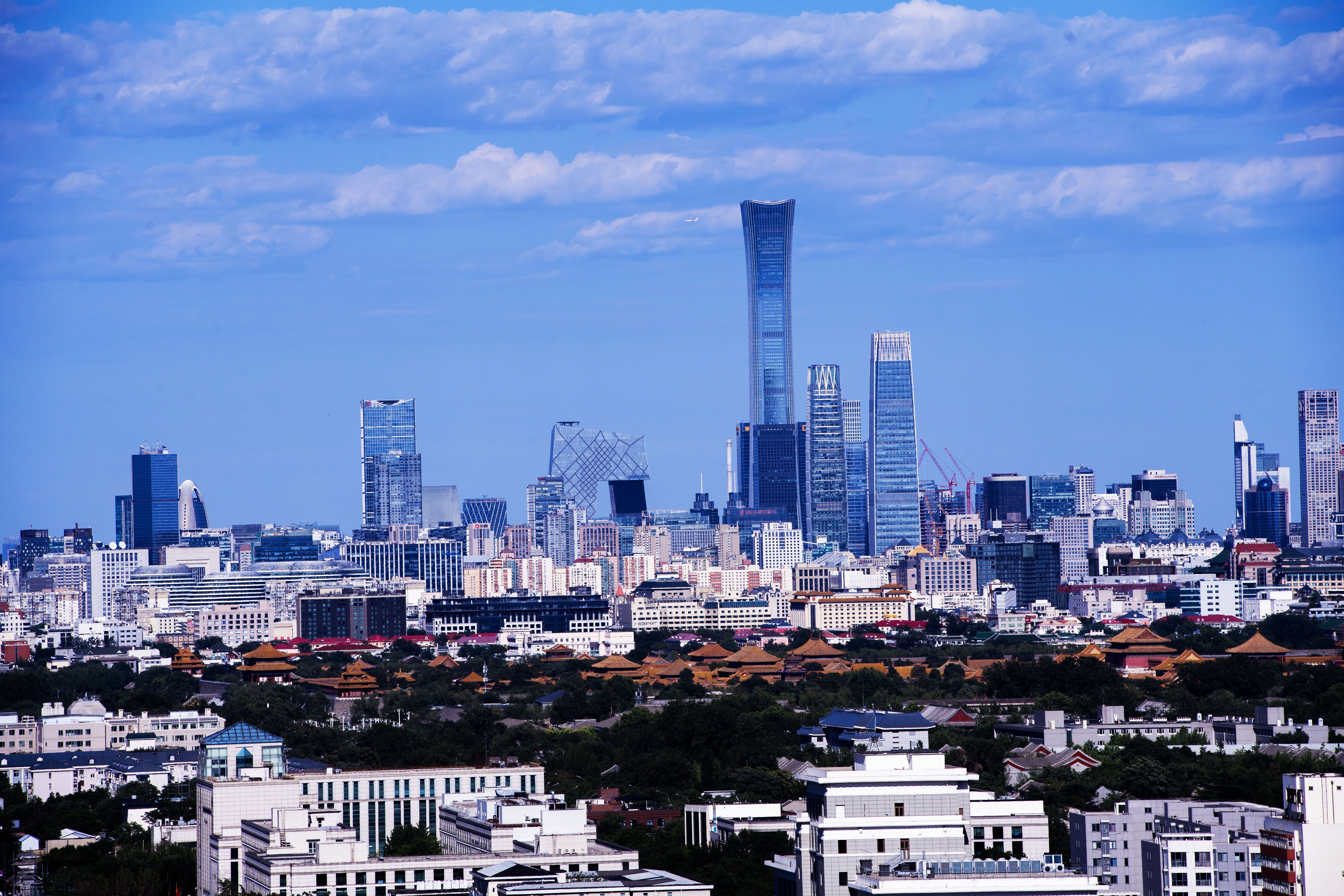 1737545170352103.jpg 1.jpg