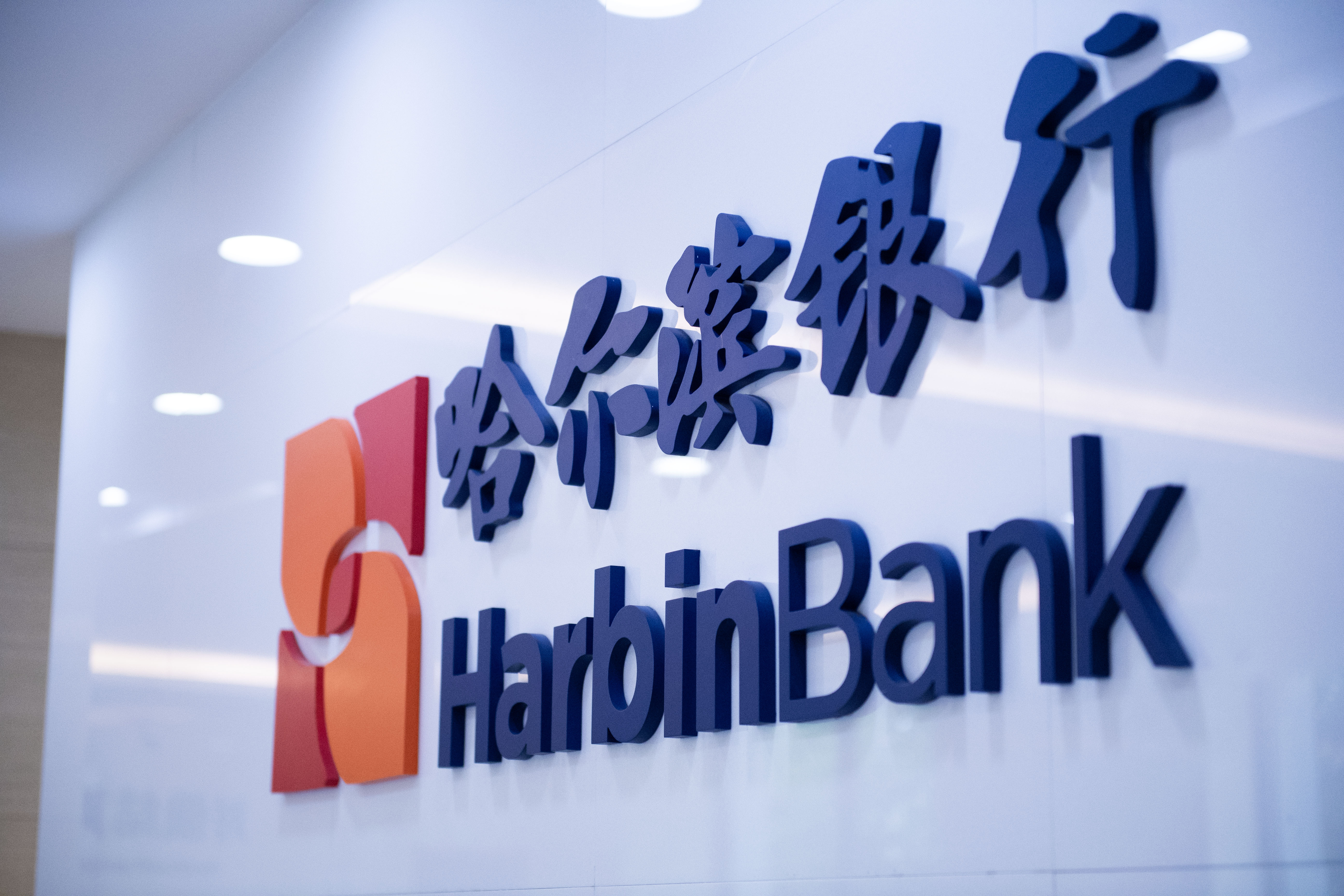 1743311705939569.jpg 12.jpg