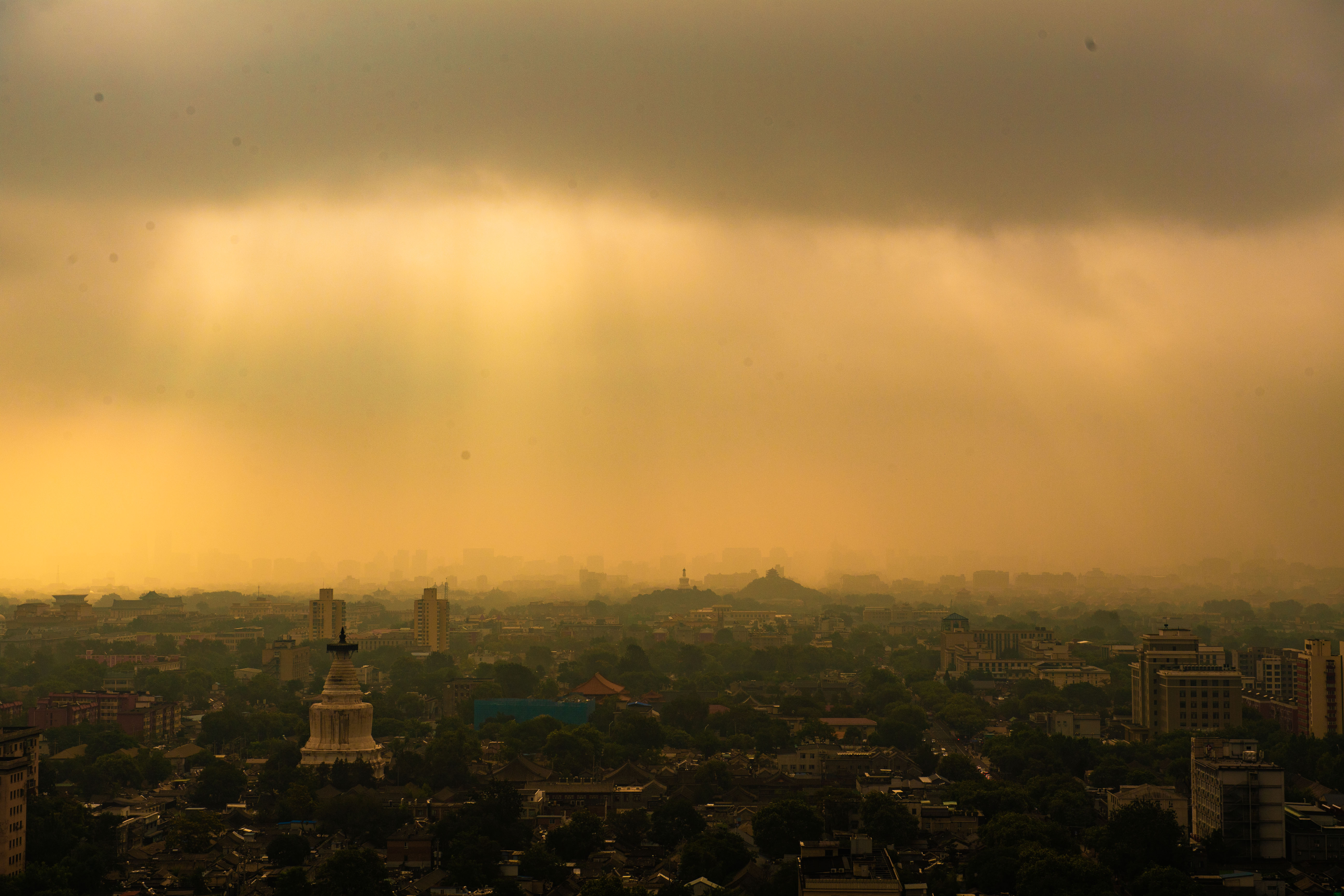 1753055266479080.jpg 2.jpg