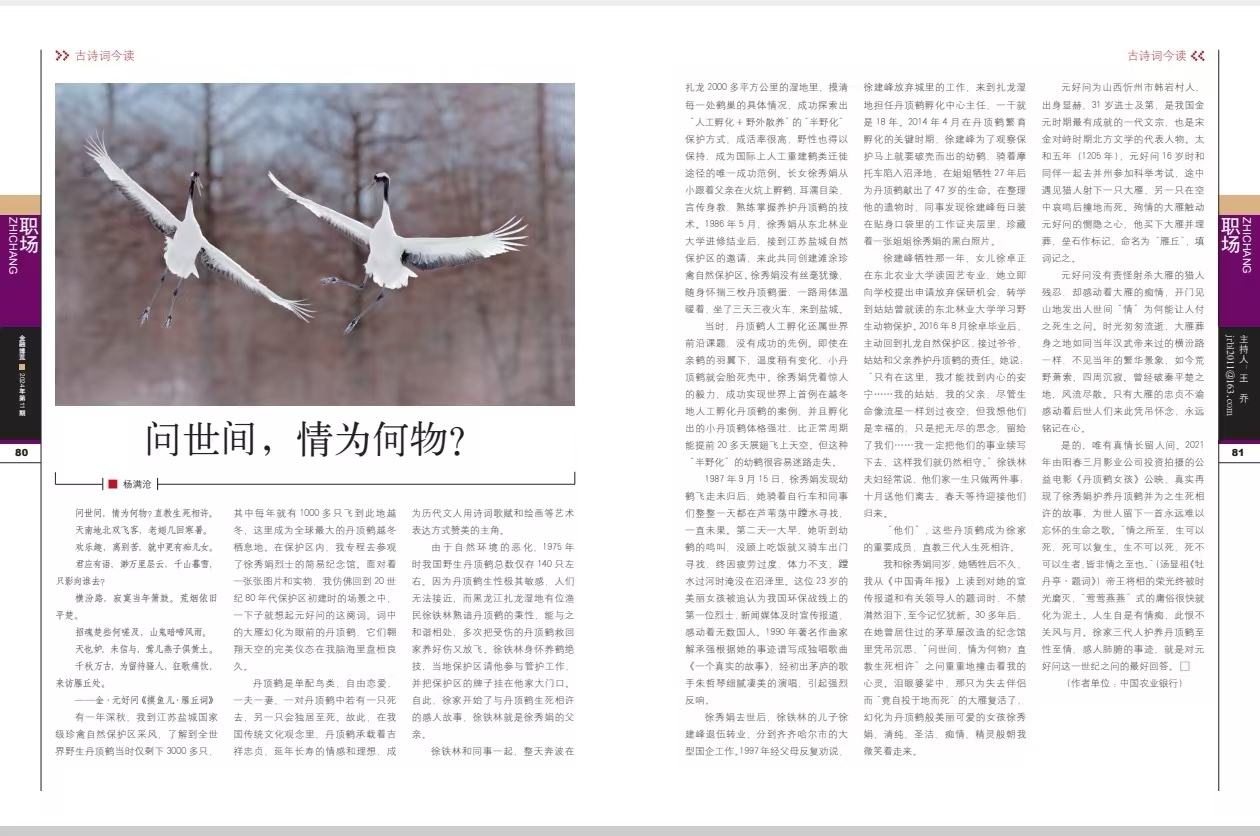 1730509495594711.jpg WechatIMG142.jpg