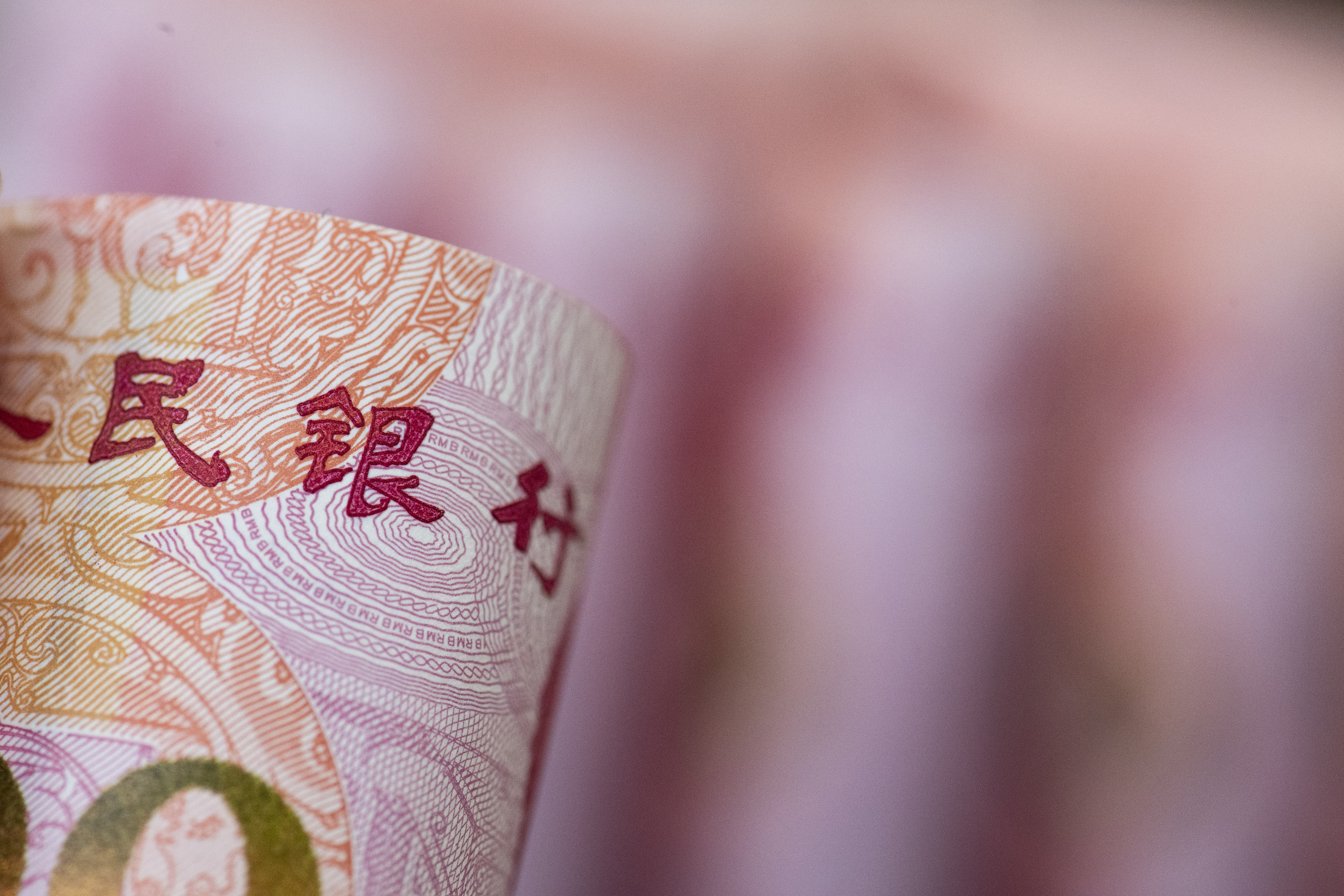 1733974863627697.jpg 2020-人民币-13.jpg