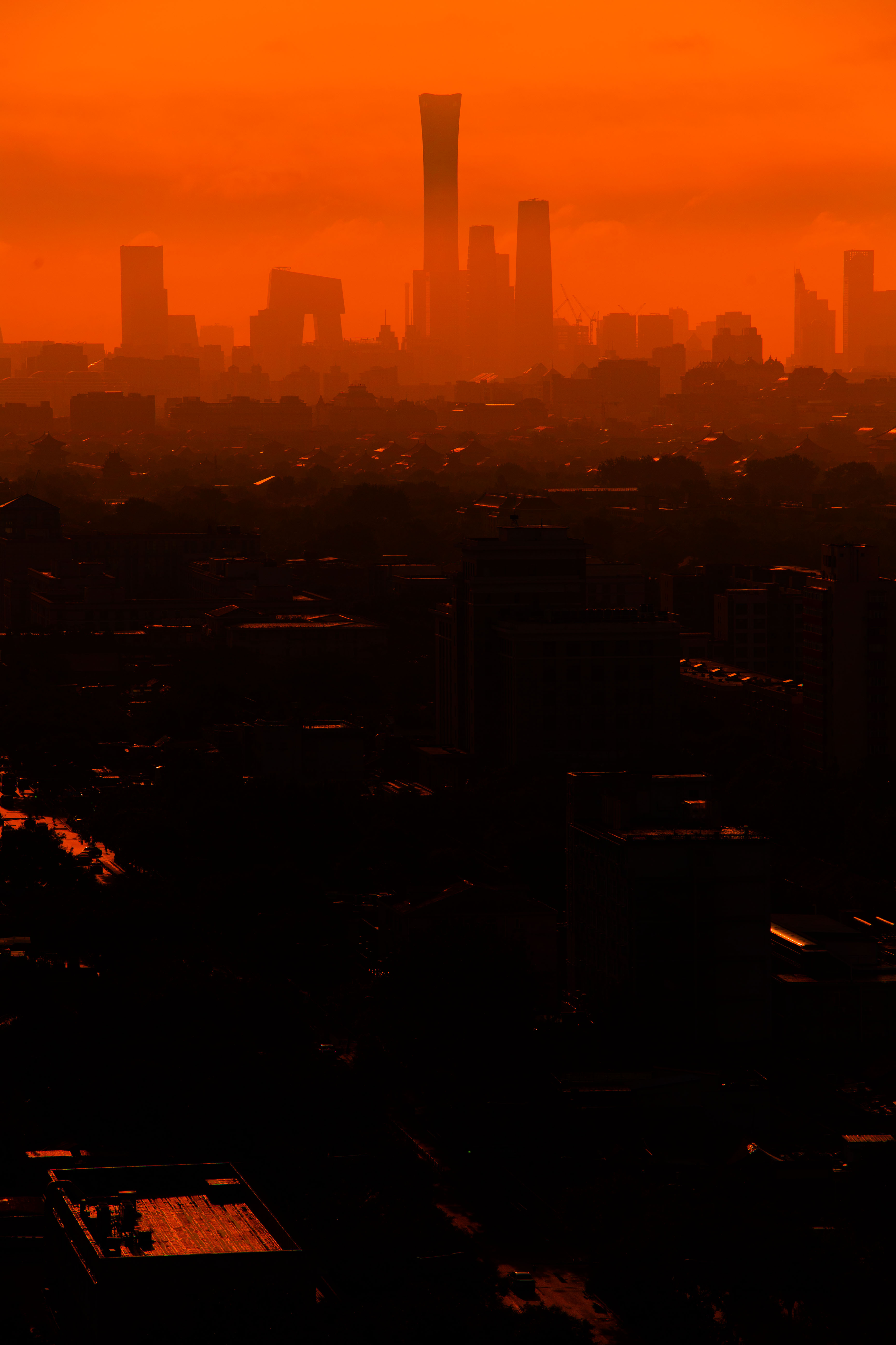 1724218488129686.jpg 1.jpg