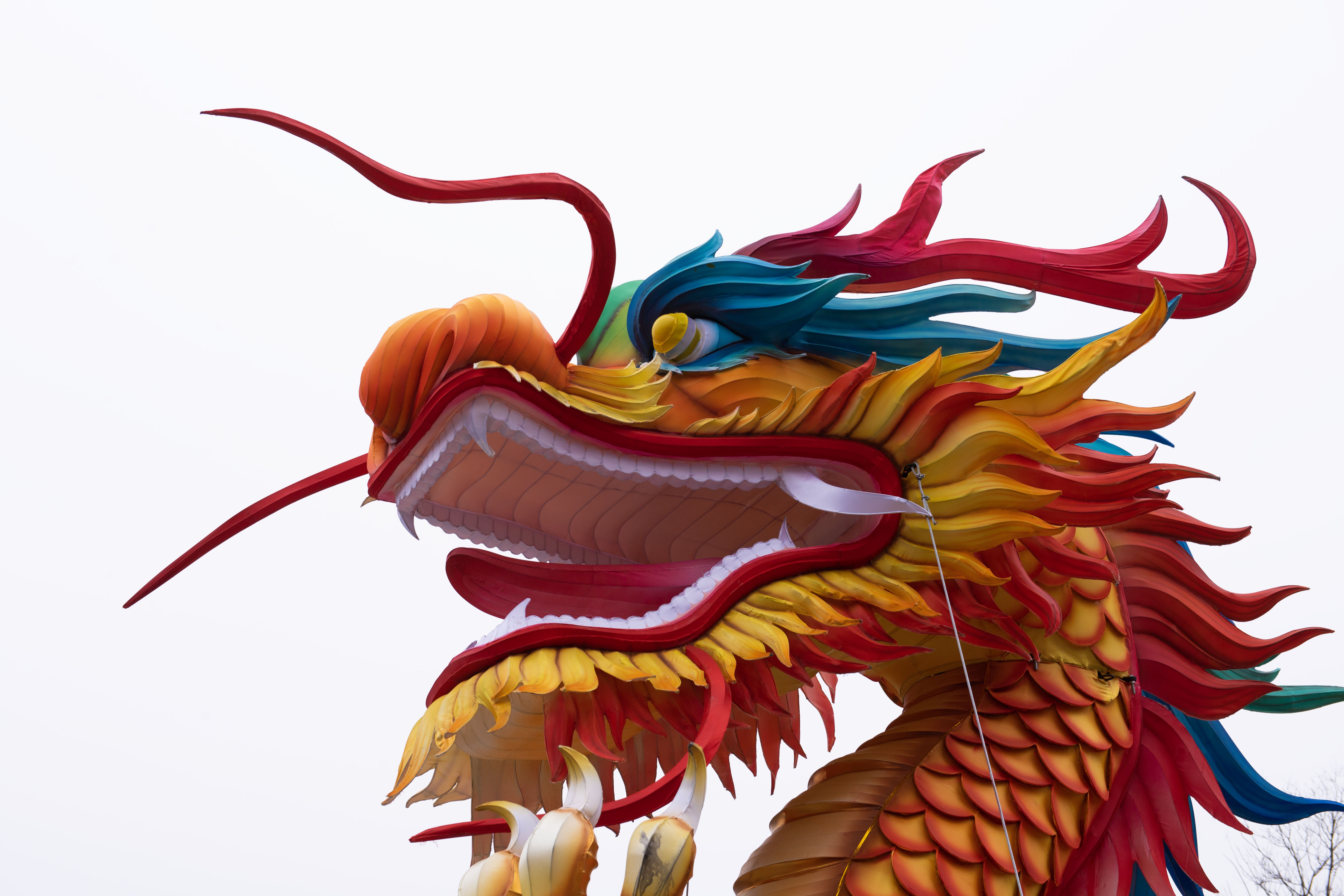 1710108003412448.jpg 2024年2月18日350vip葡亰集团西单-3.jpg