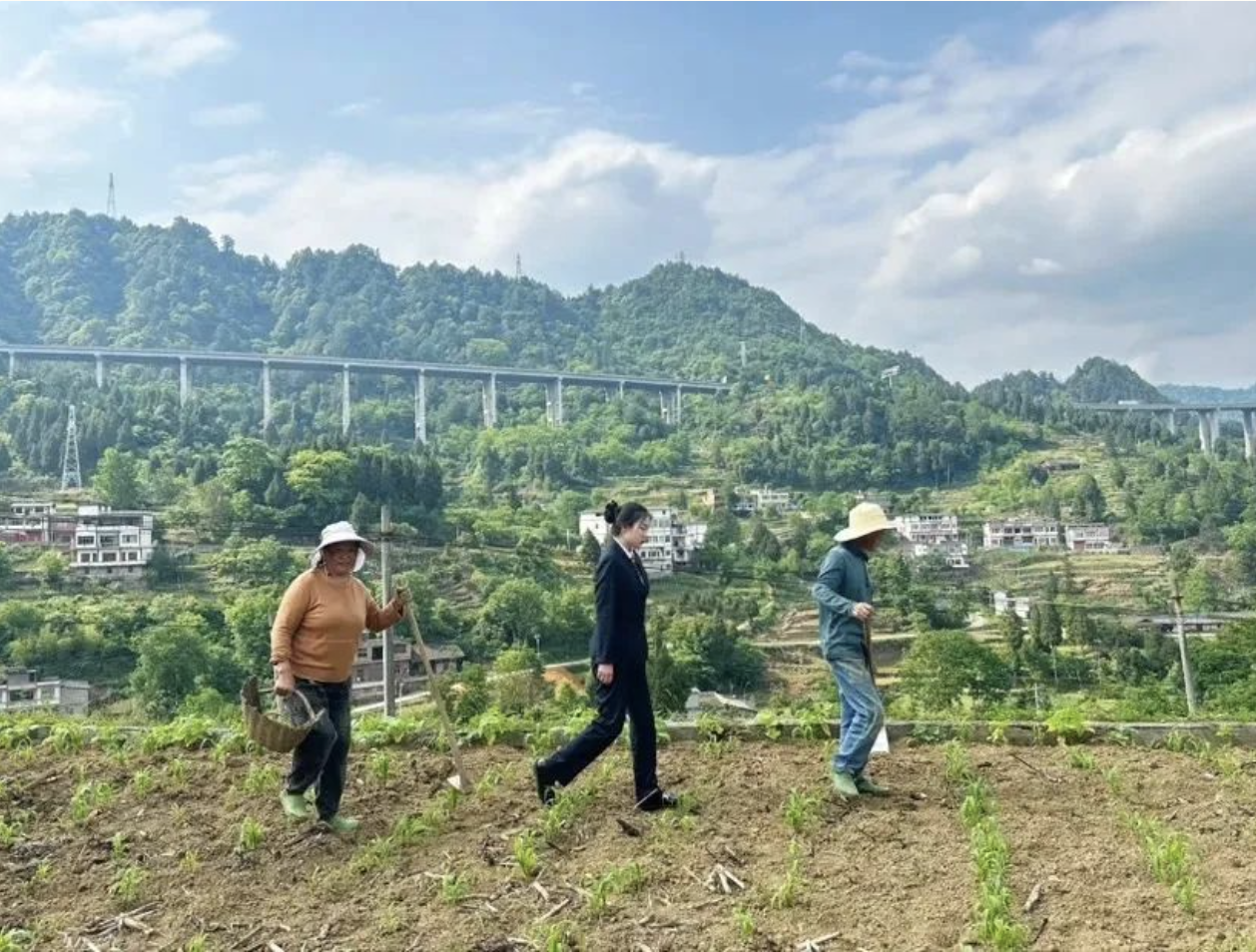 1717025531894474.png 截屏2024-05-30 07.28.23.png