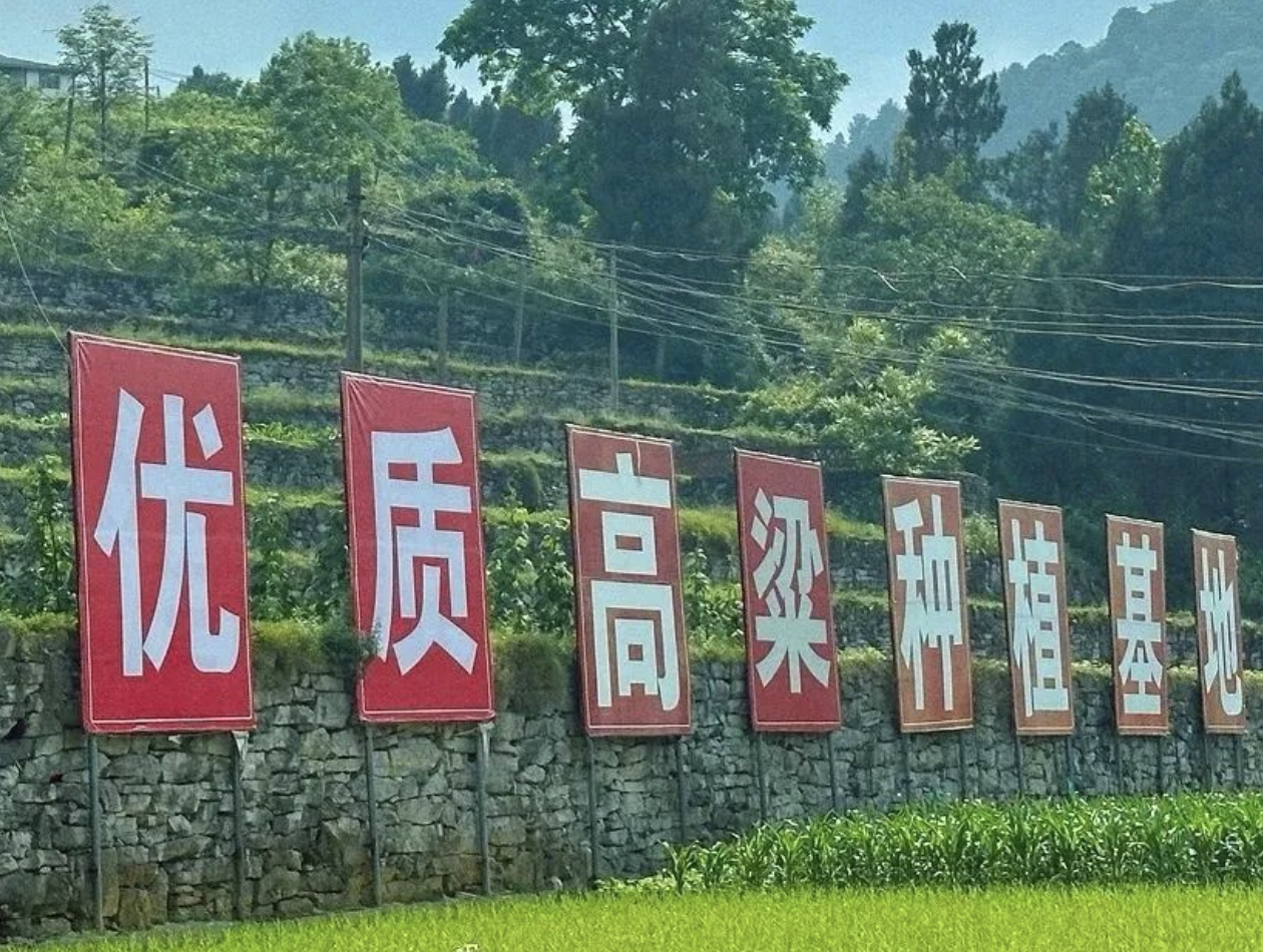 1717025608147635.png 截屏2024-05-30 07.28.35.png