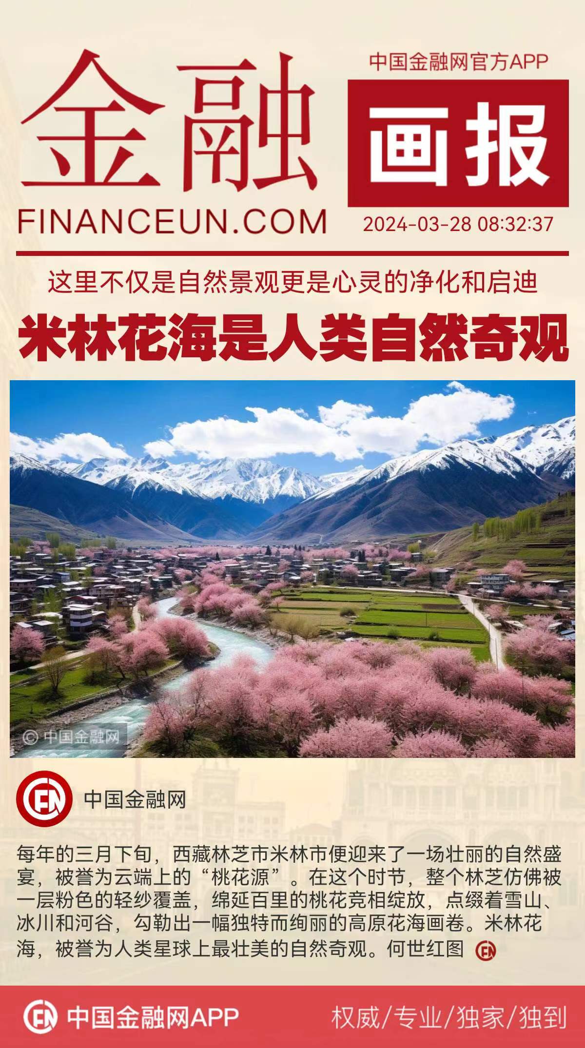 1711984115916754.jpg WechatIMG8.jpg