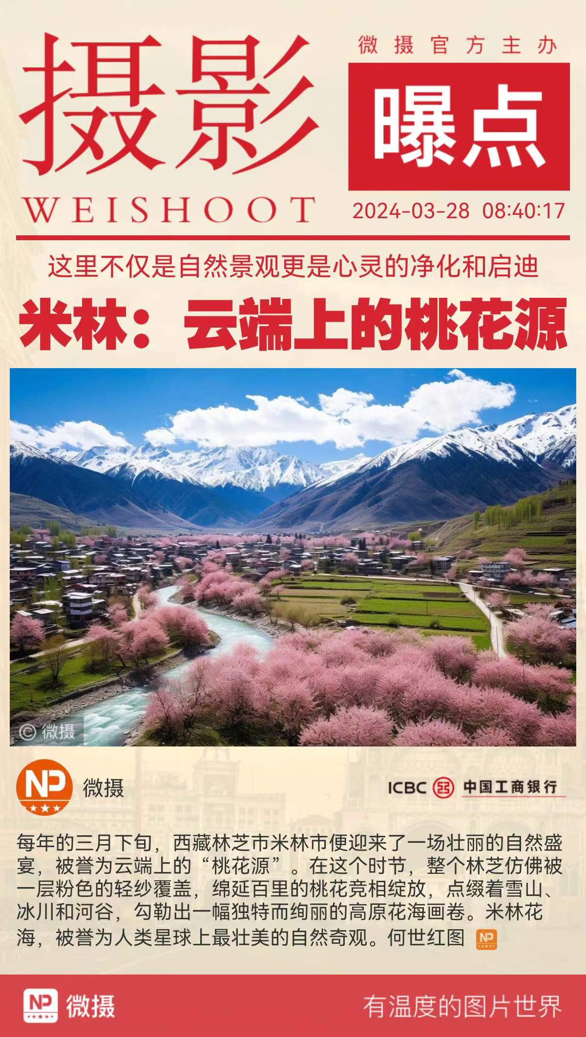 1711984208646249.jpg WechatIMG9.jpg