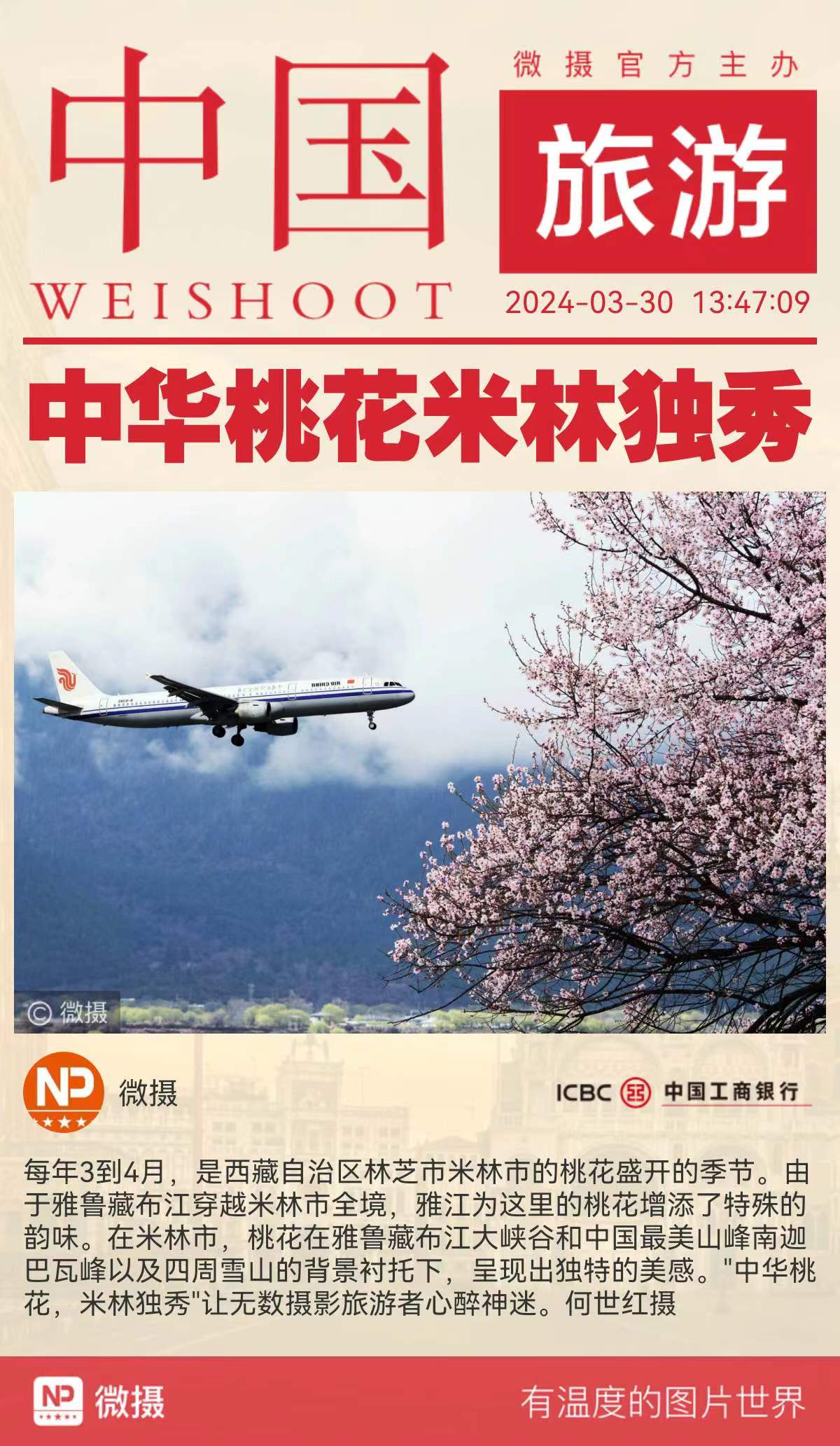 1711984304355710.jpg WechatIMG86.jpg