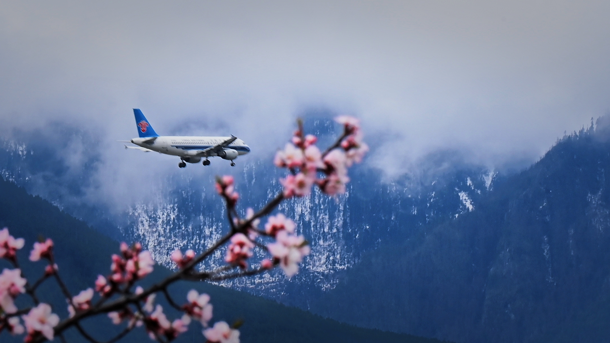 1711984434840056.jpg WechatIMG388 1.jpg