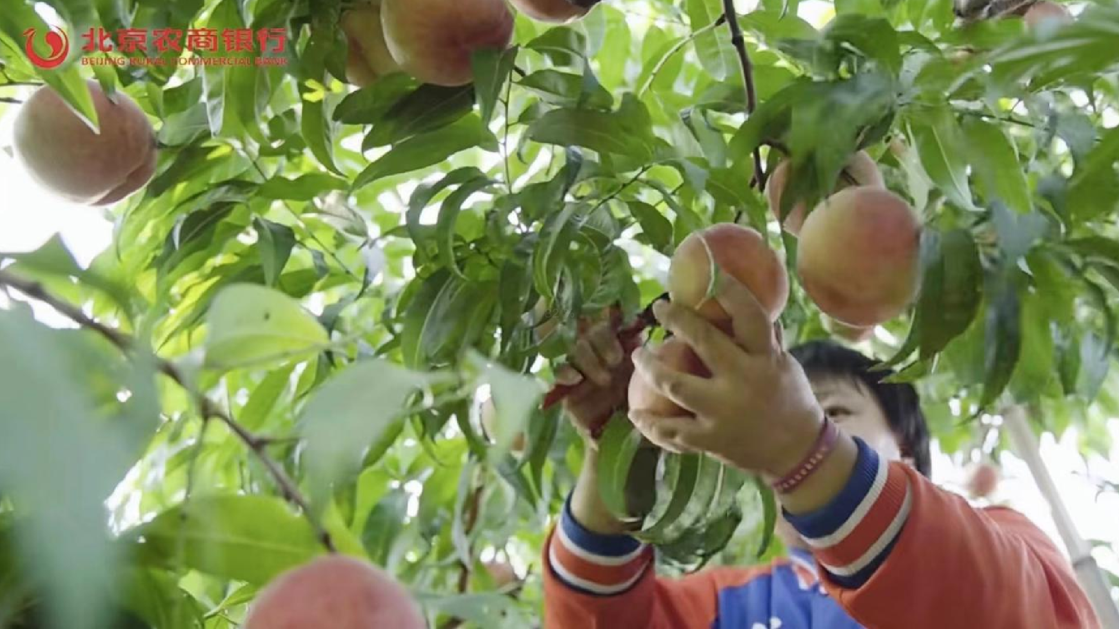 1720568171673901.png 截屏2024-07-10 06.26.24.png