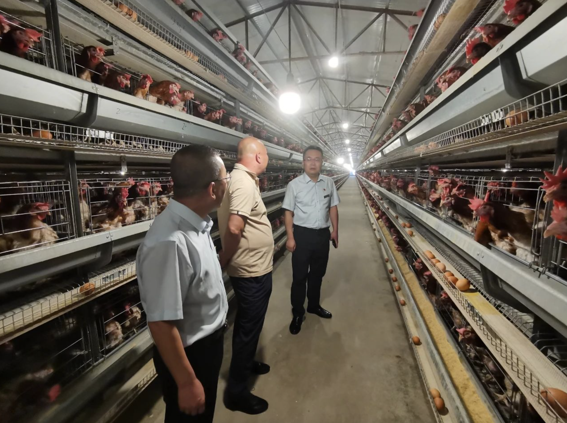 1720568288952620.png 截屏2024-07-10 06.47.40.png